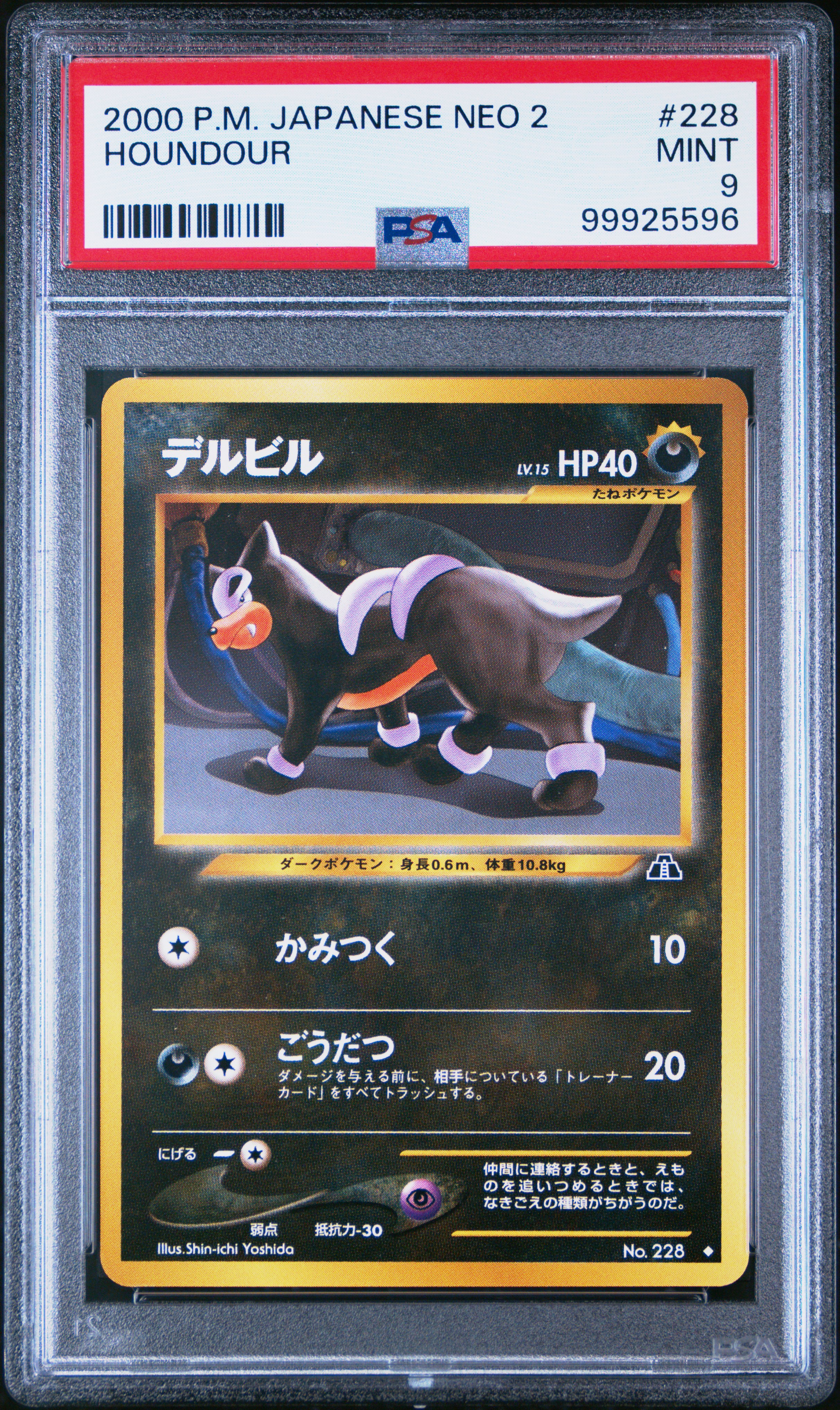 Houndour