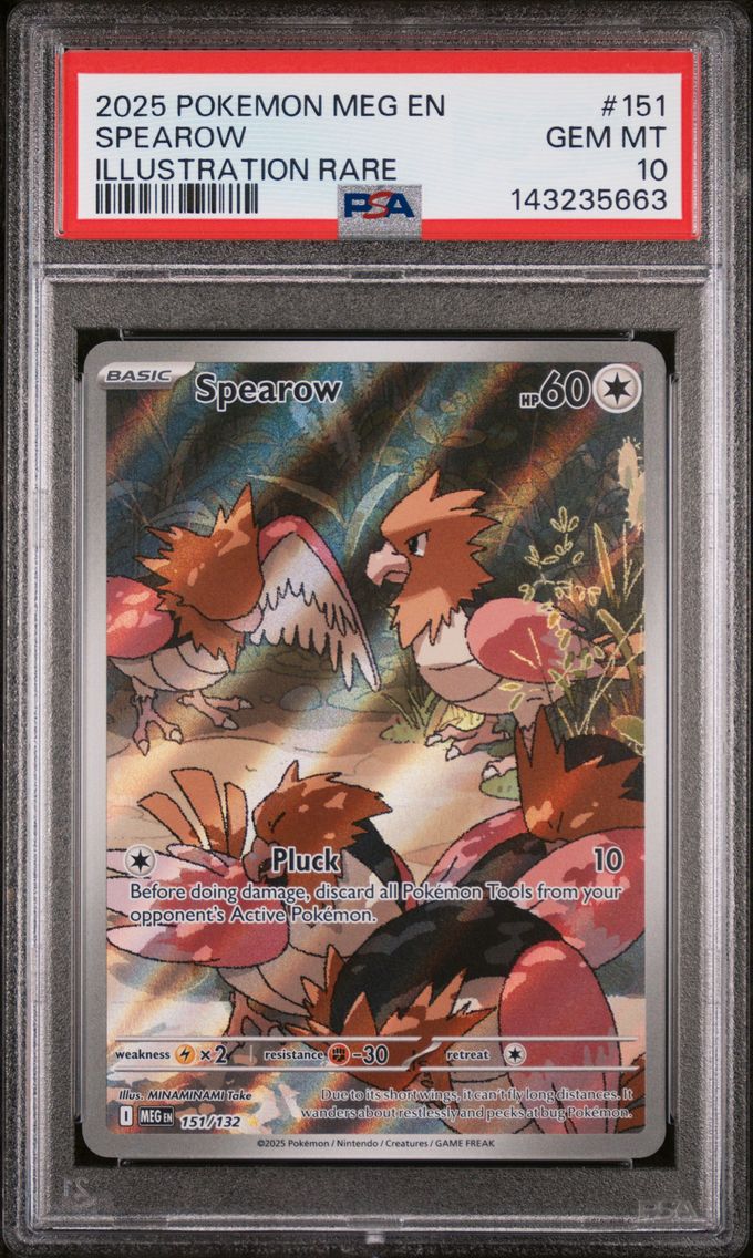 2025 #151 Spearow PSA 10 Meg EN-Mega Evolution Pokemon