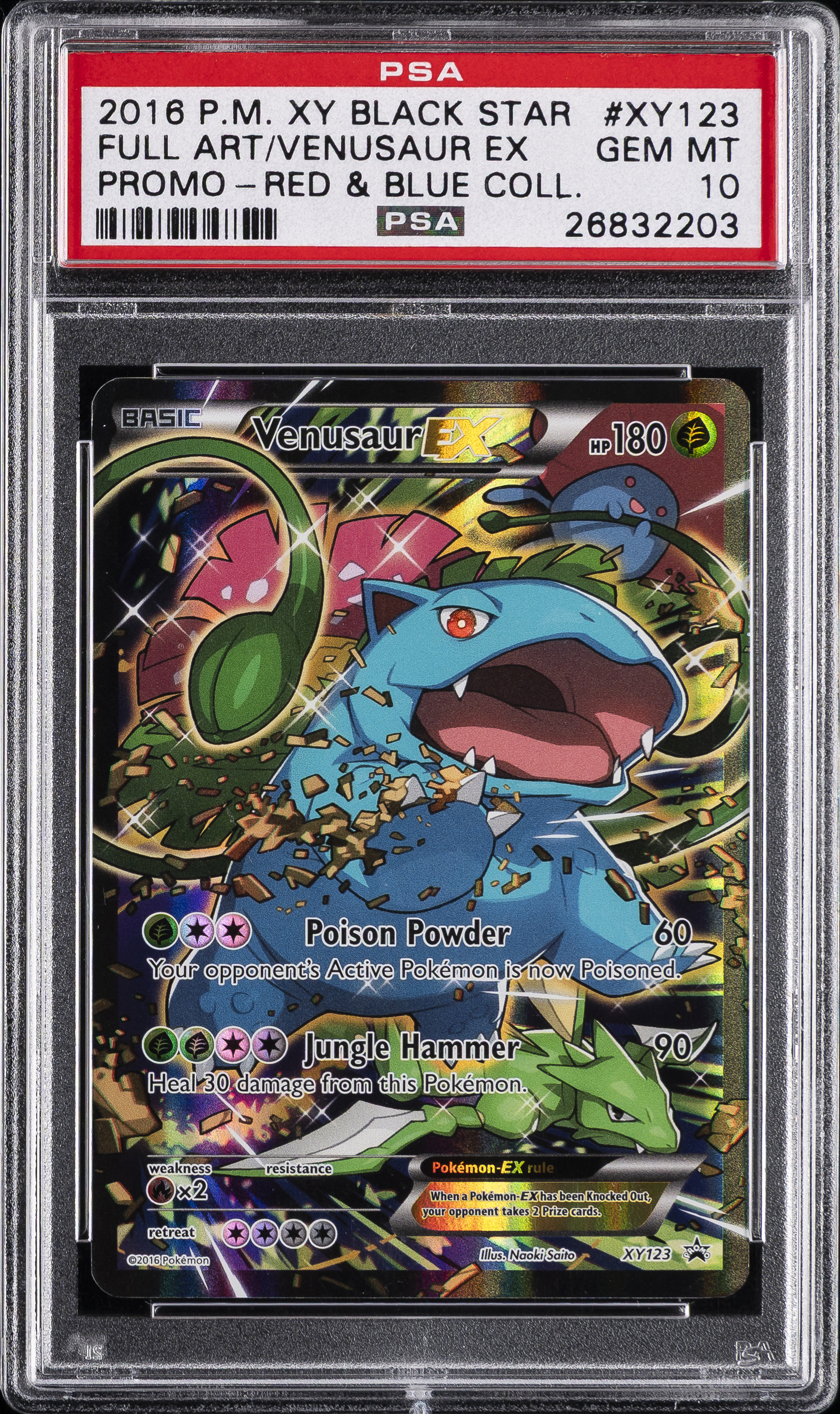 Full Art/Venusaur EX