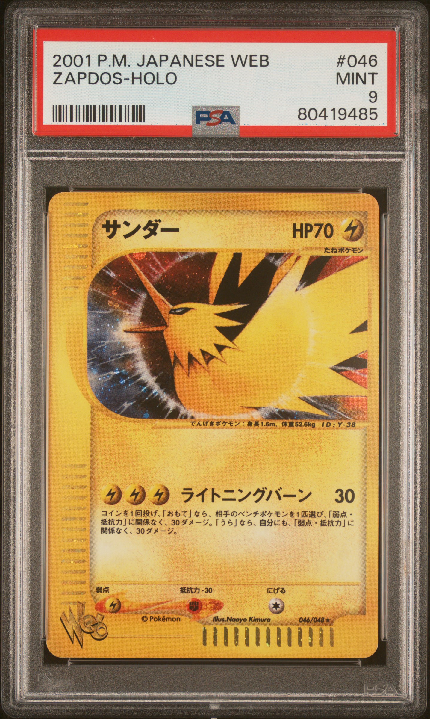 Zapdos-Holo