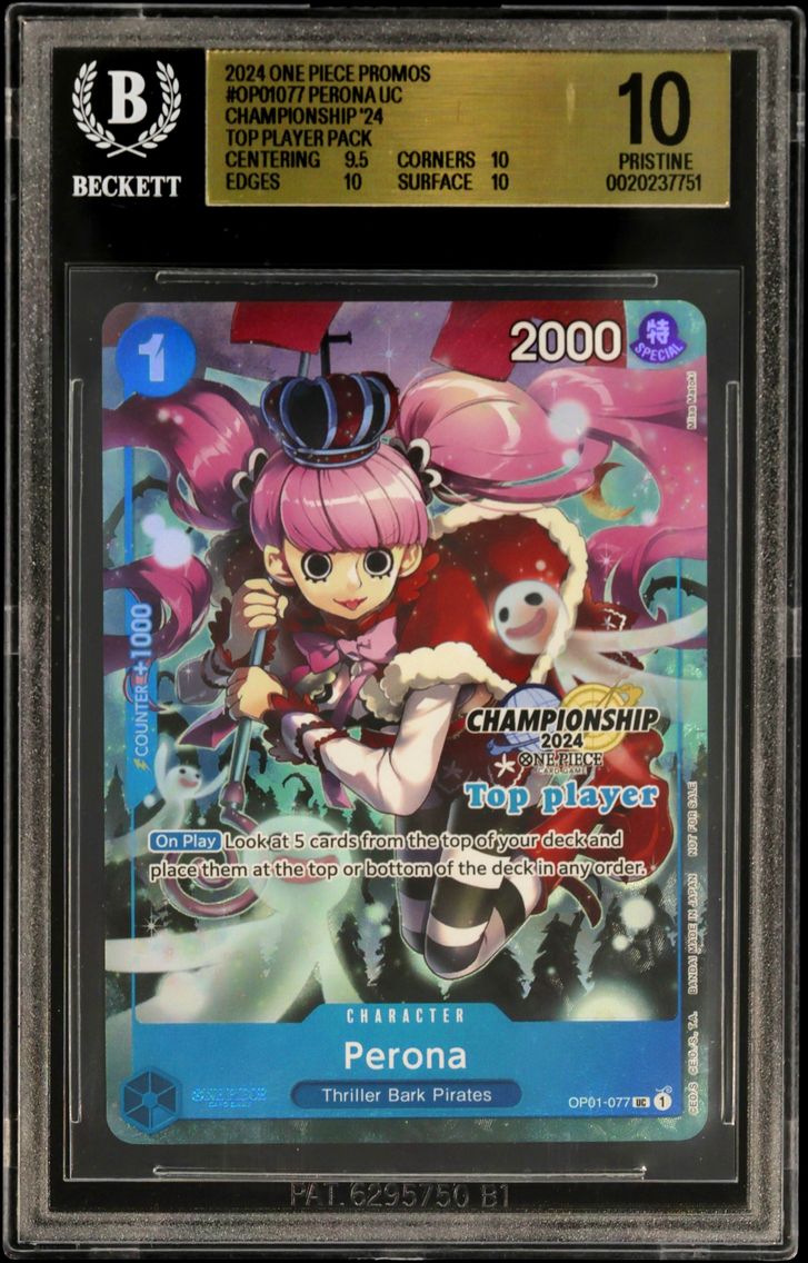 2024 #OP01077 Perona UC/(CS 2024