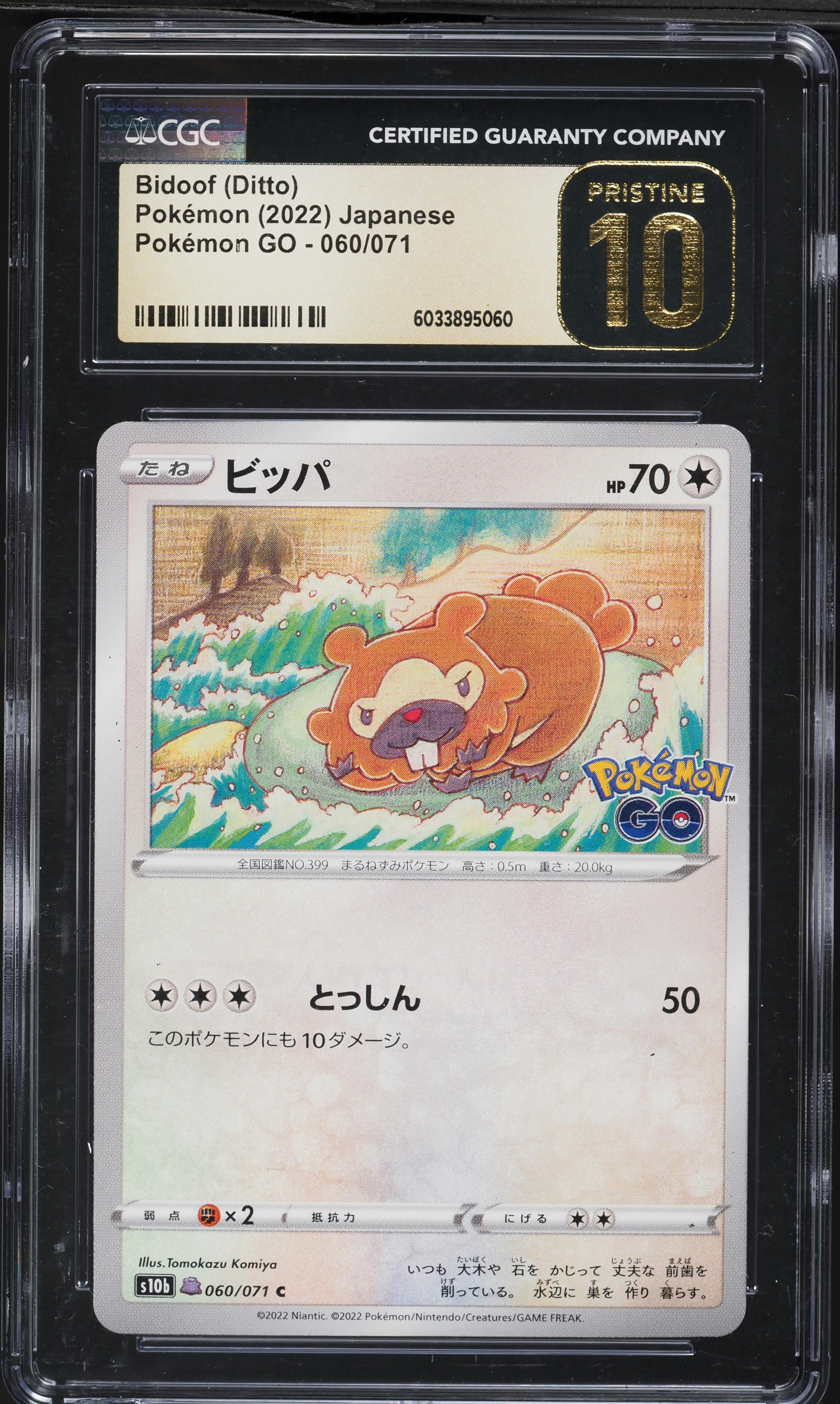 Bidoof