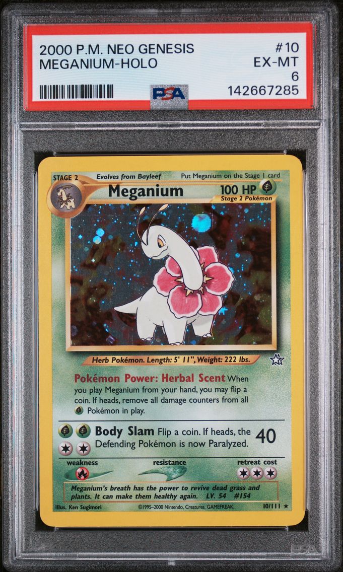 Meganium (10)