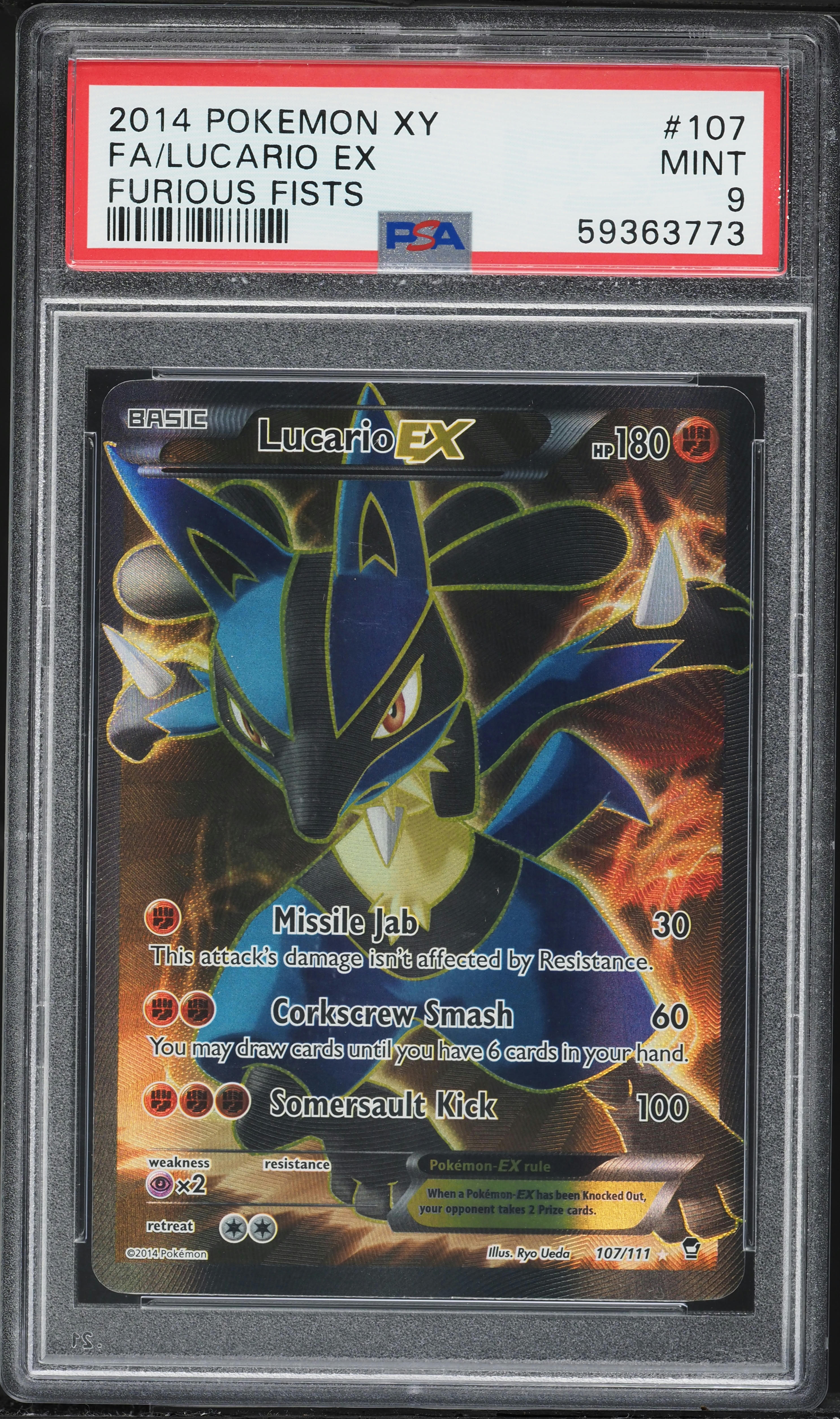Full Art/Lucario EX