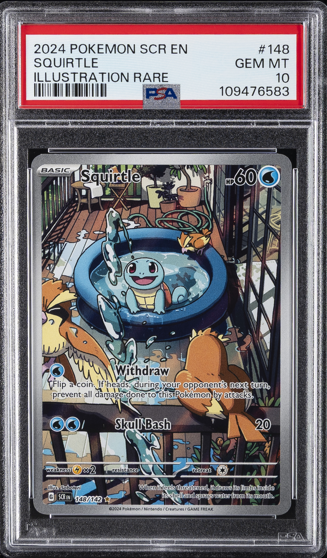 Squirtle