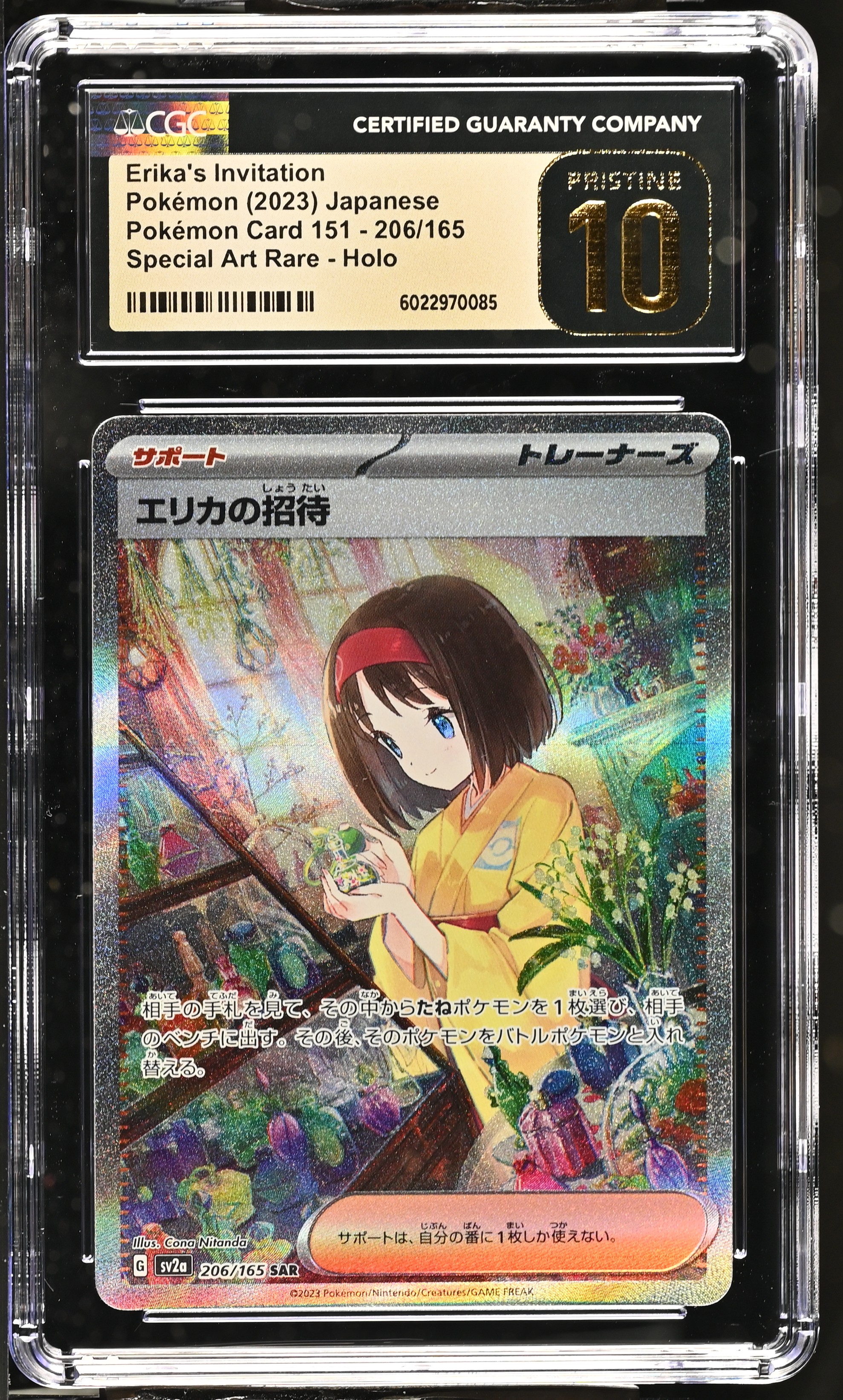 Erika's Invitation