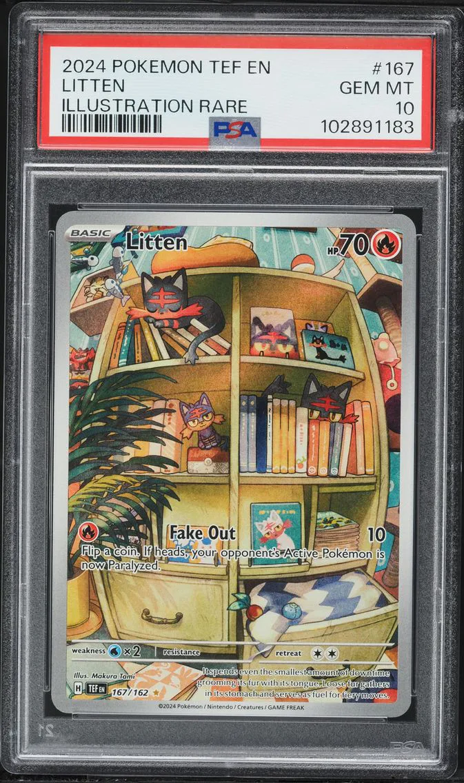 2024 #167 Litten PSA 10 Tef EN-Temporal Forces Pokemon