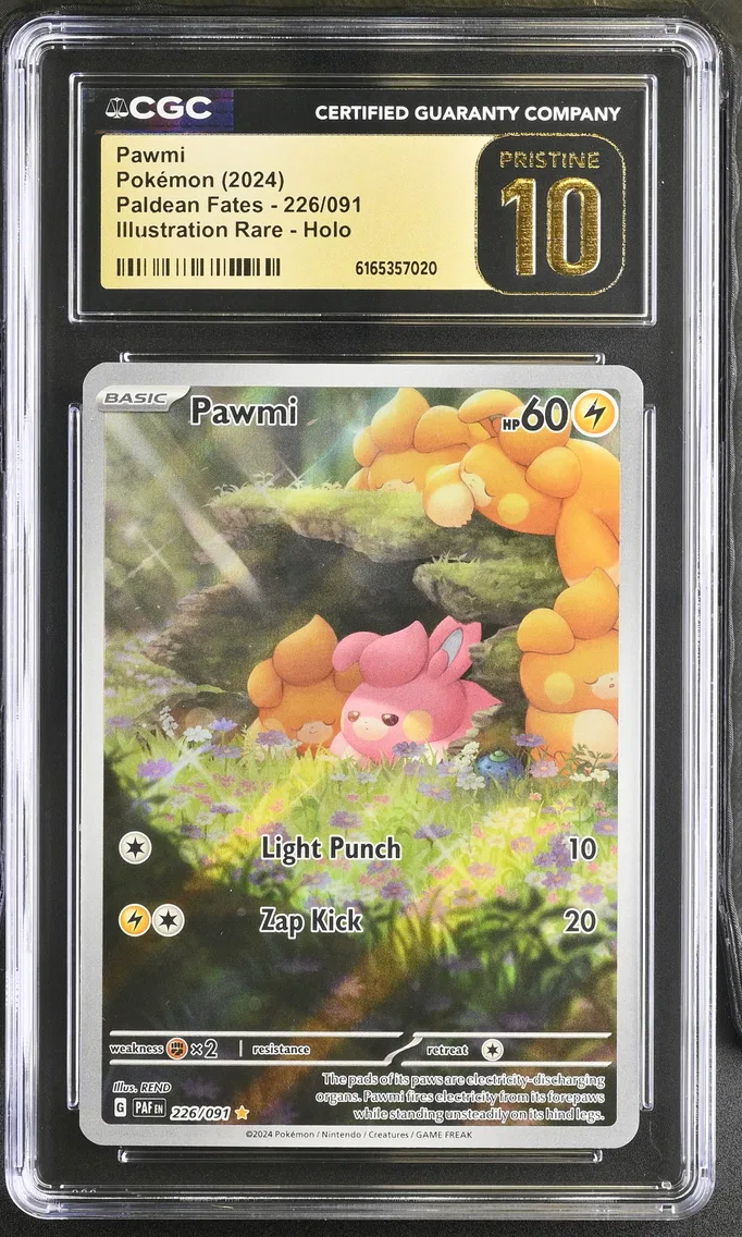 Pawmi