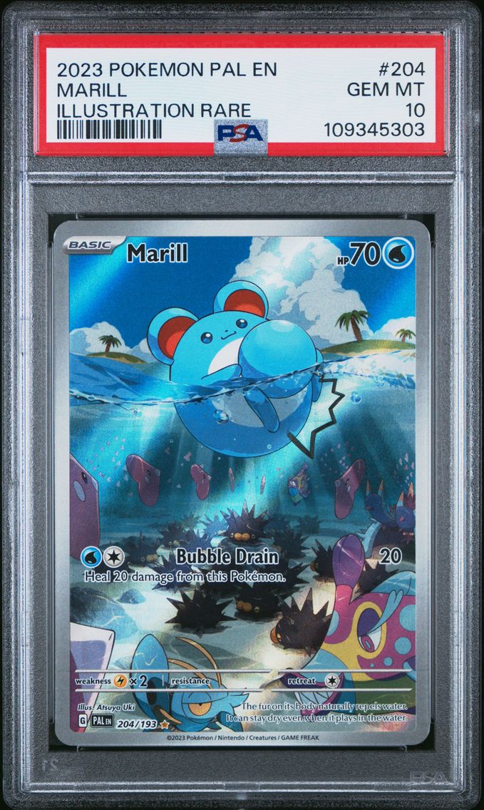 2023 #204 Marill PSA 10 Pal EN-P