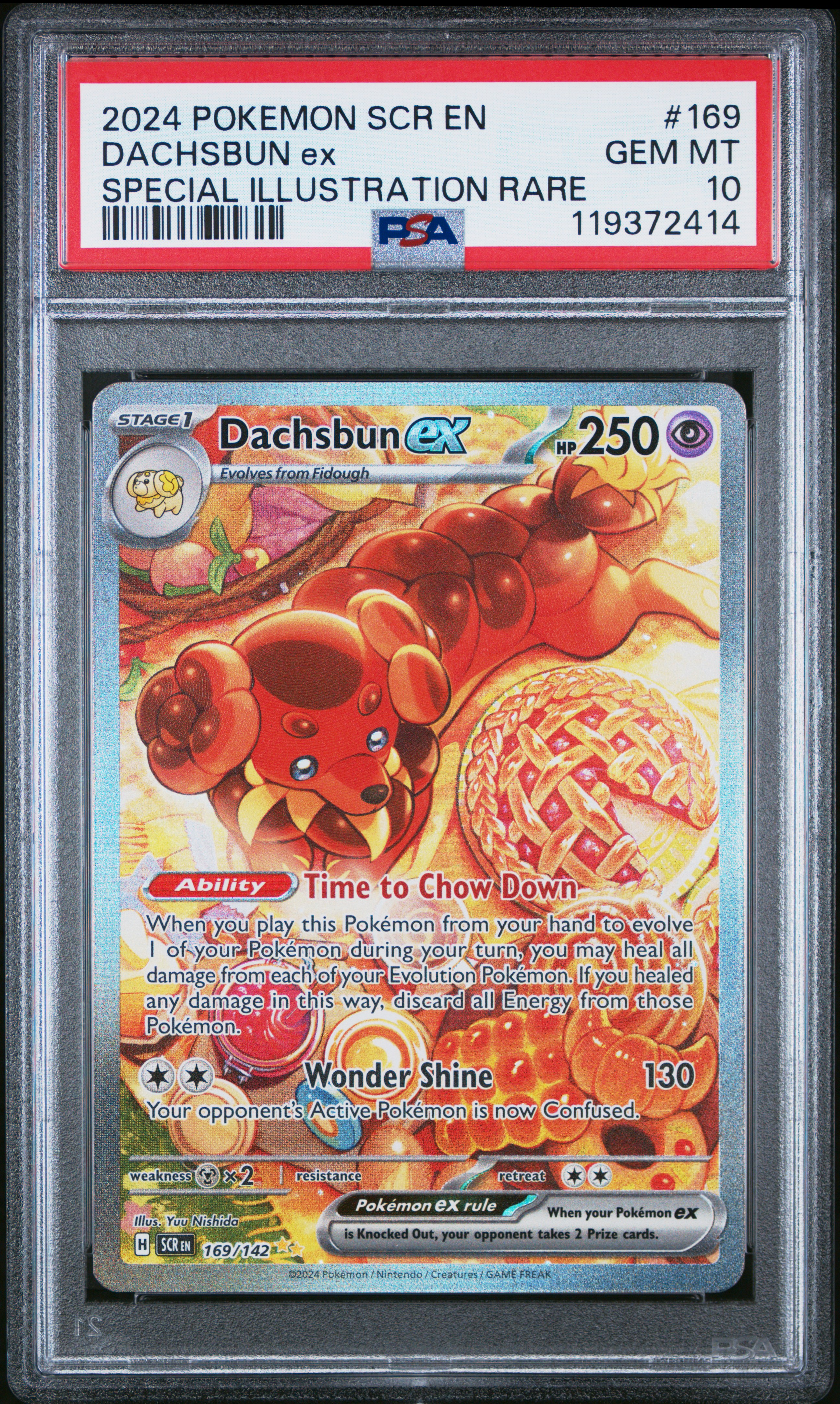Dachsbun EX