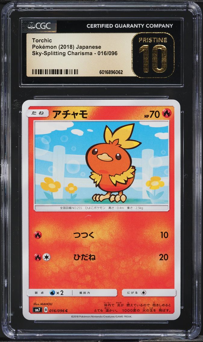 Torchic - 016/096