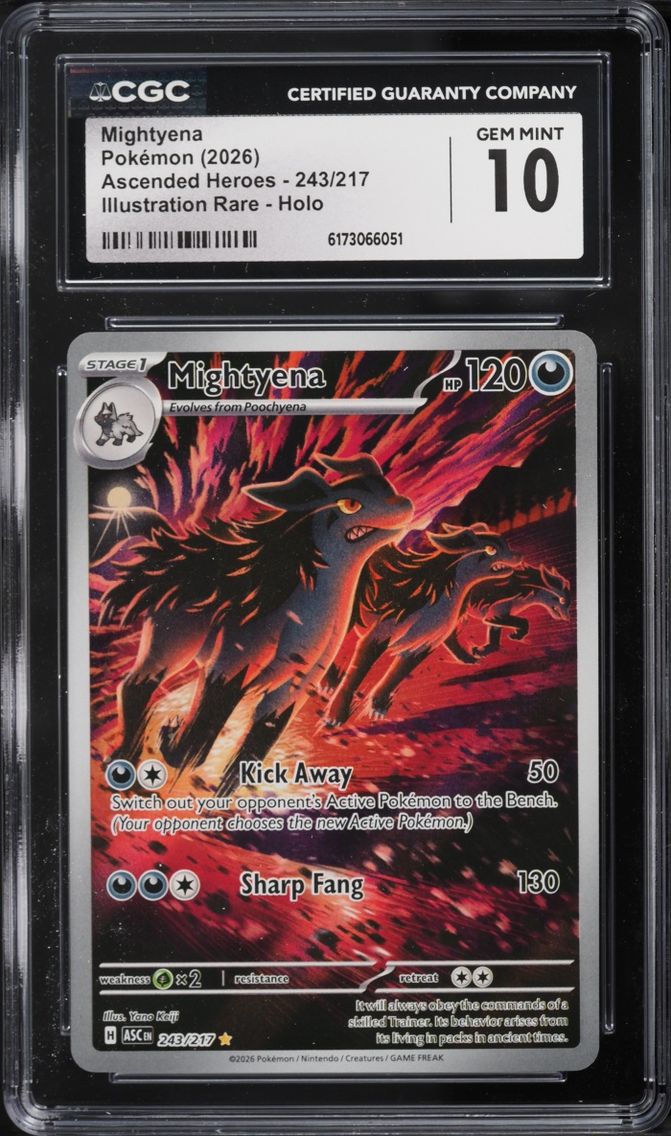 2026 Pokemon Mega Evolution Ascended Heroes IR Mightyena #243 CGC 10 GEM MINT