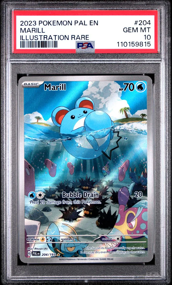 2023 #204 Marill PSA 10 Pal EN-P
