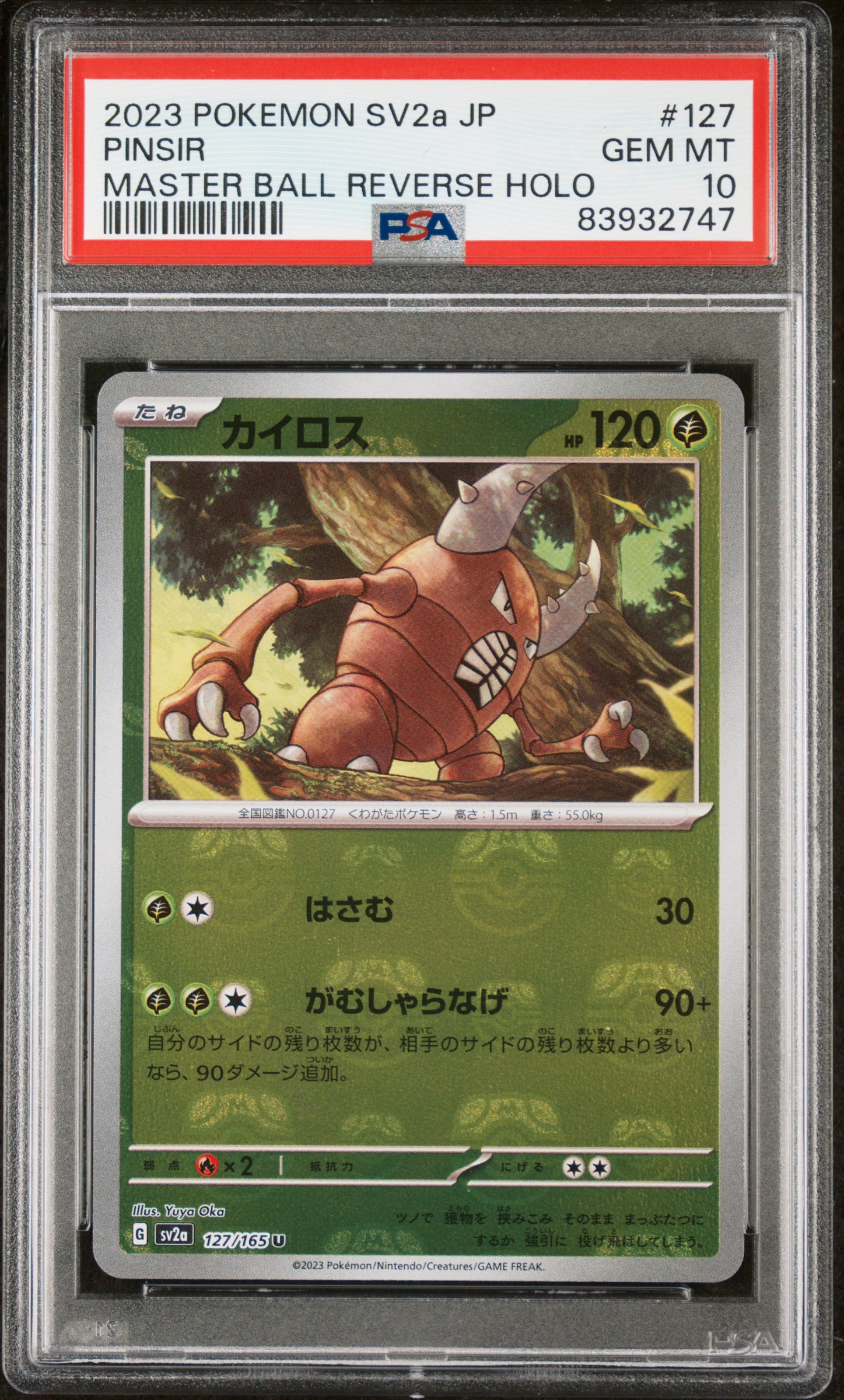 Pinsir Master Ball Reverse Holo