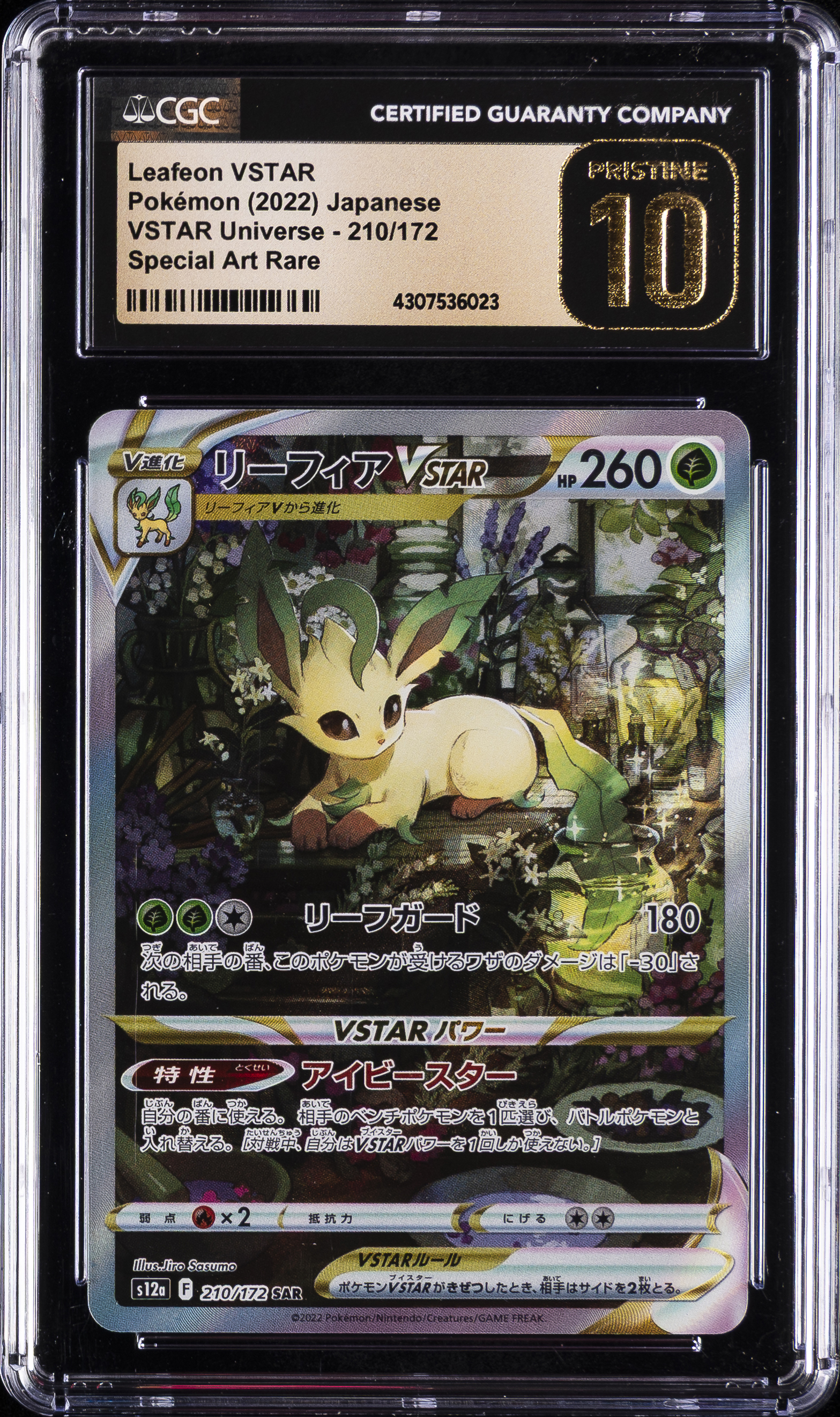 Full Art/Leafeon Vstar