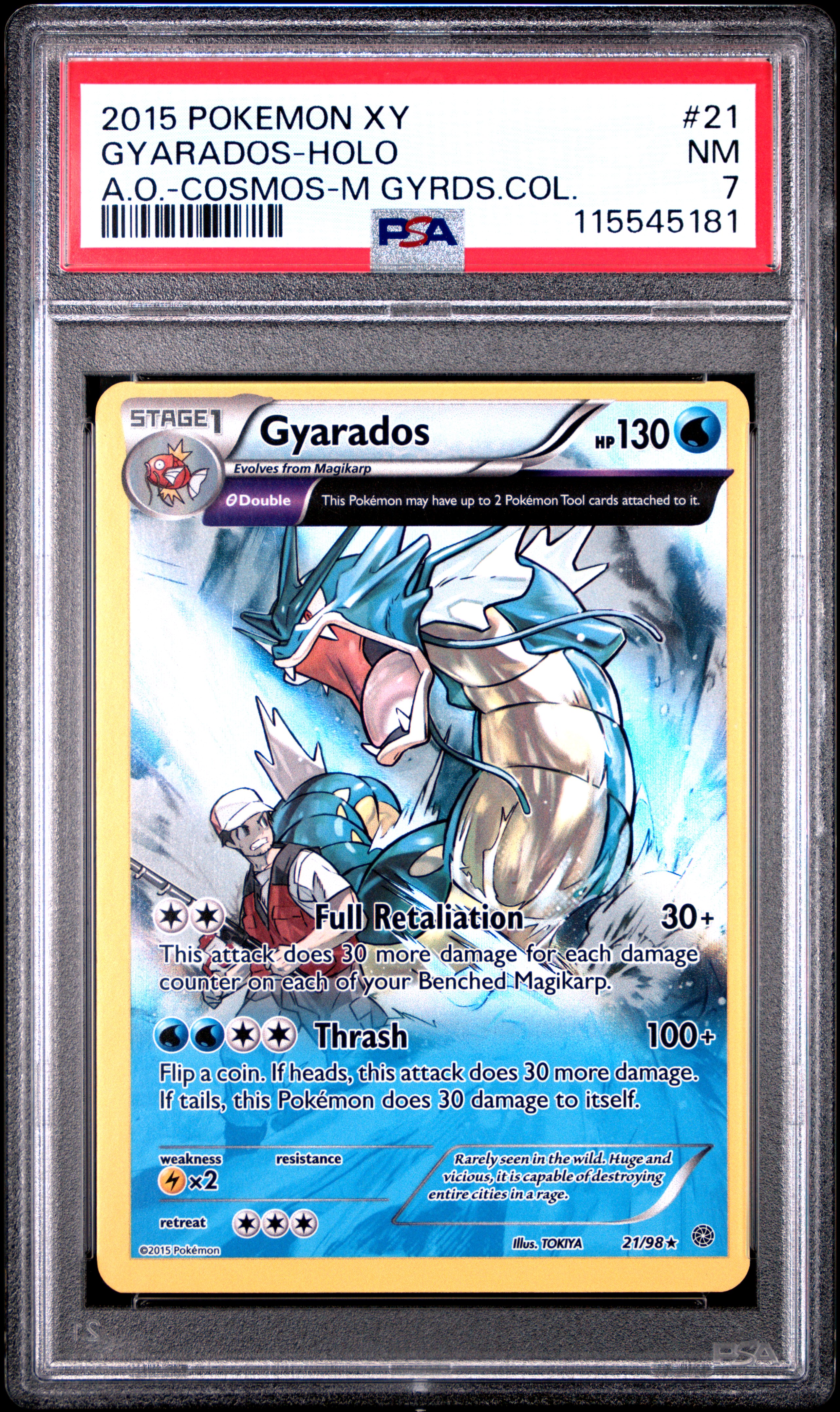 Gyarados-Holo