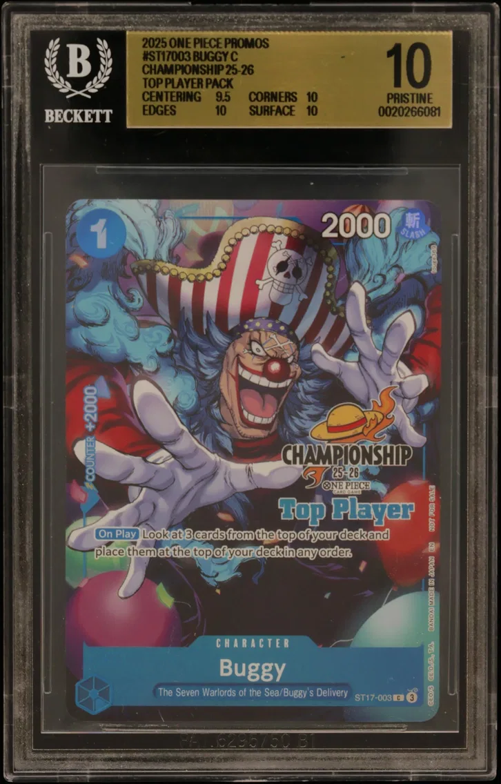 2025 #ST17003 Buggy C/(Champions