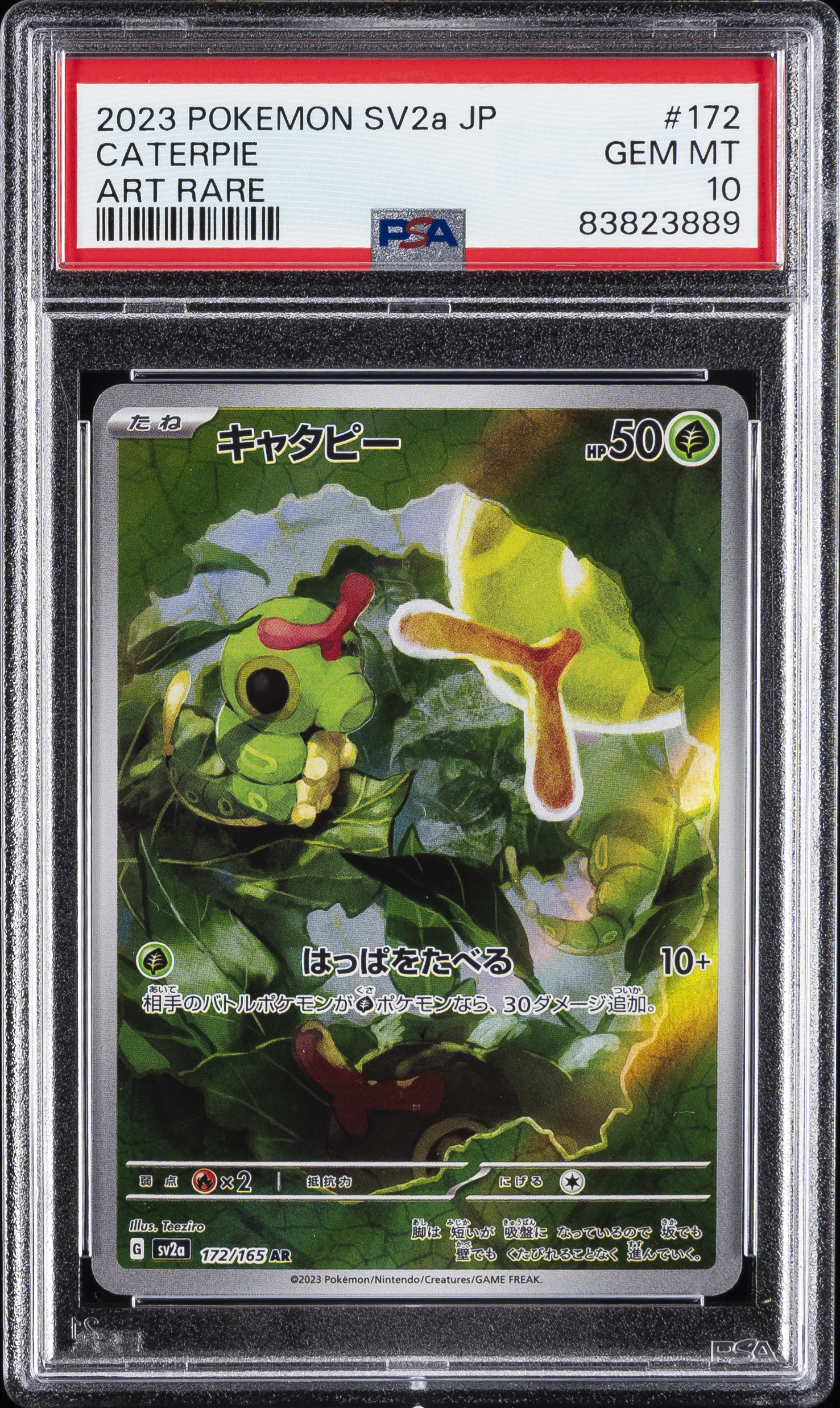 Caterpie