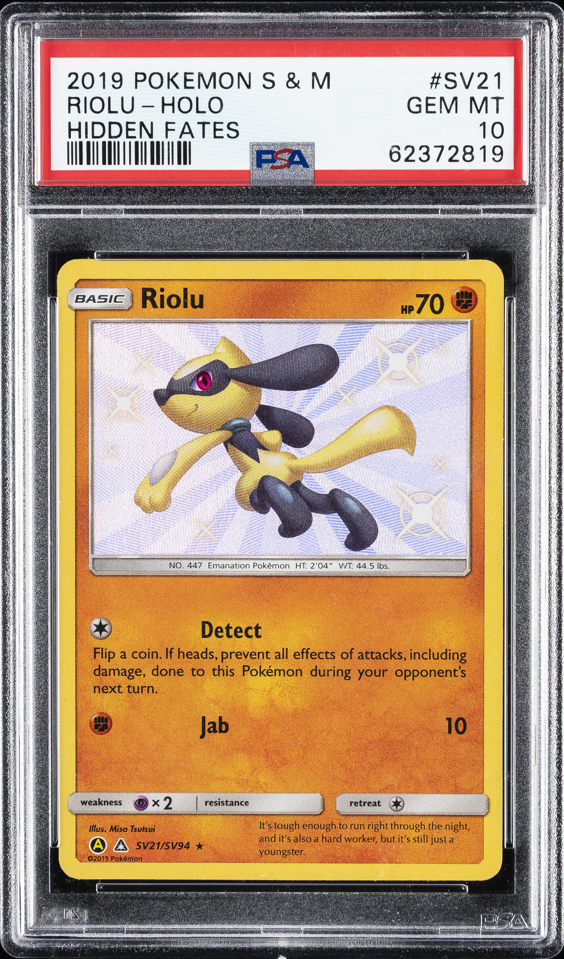 Riolu-Holo