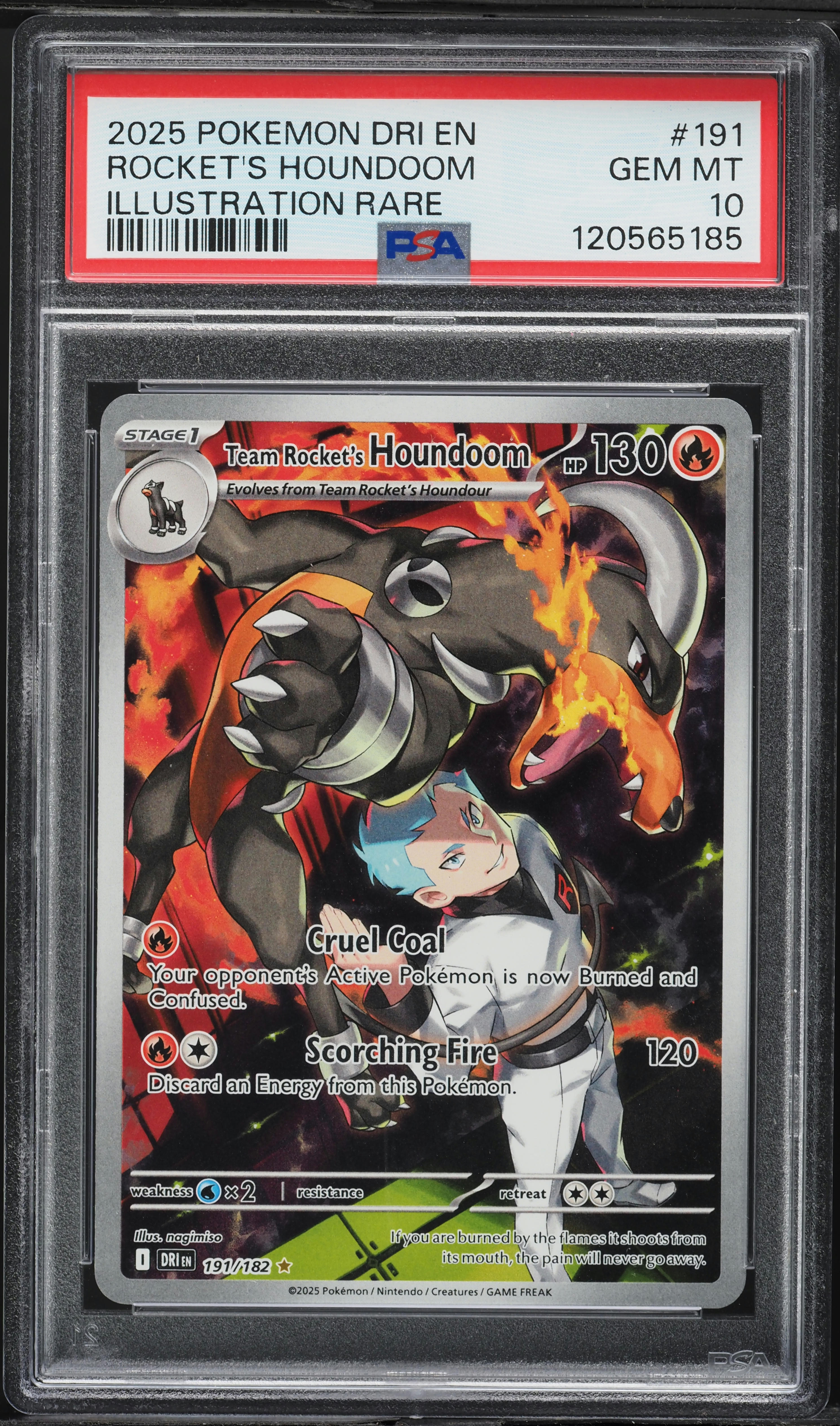 Team Rocket's Houndoom