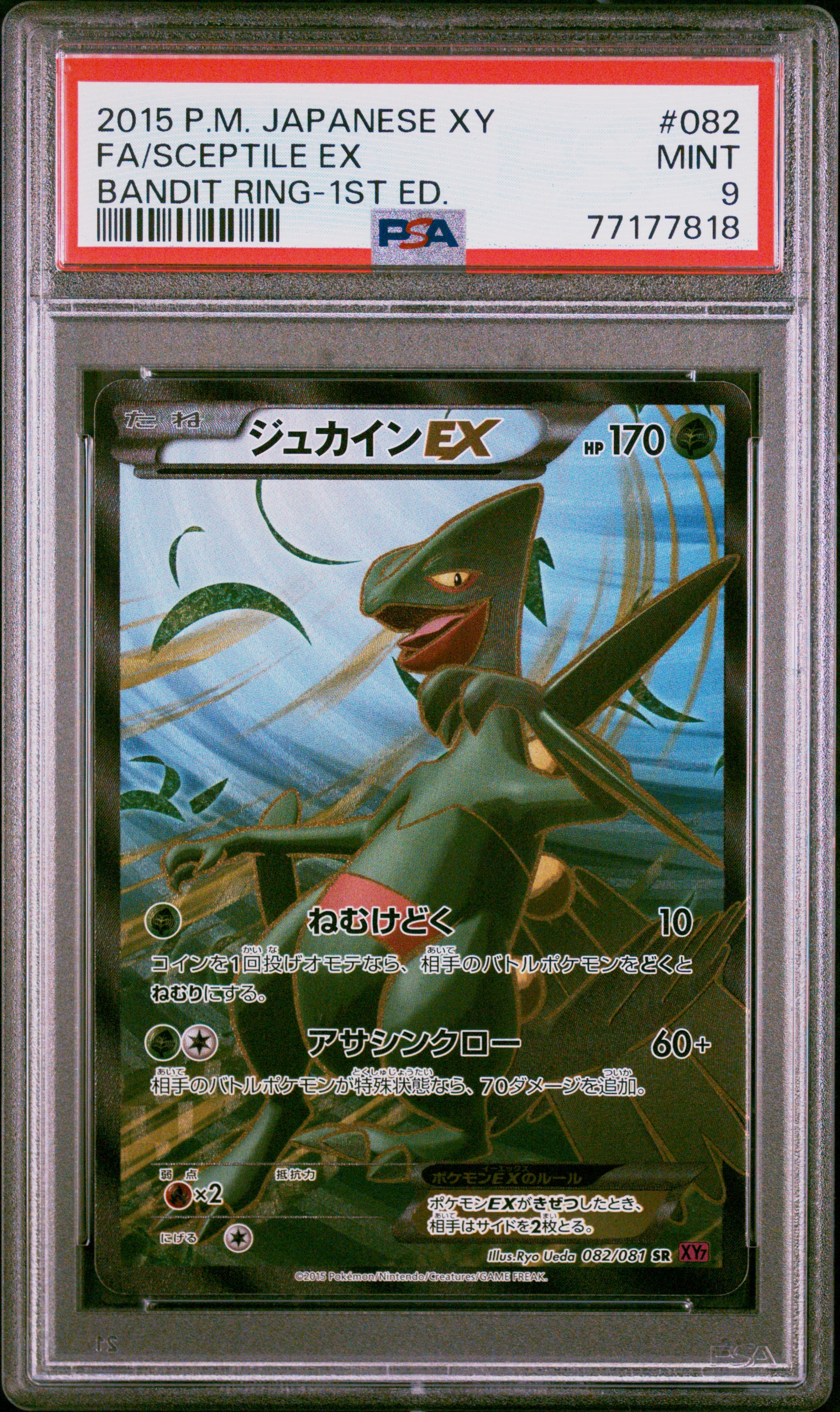Full Art/Sceptile EX 1st Edition