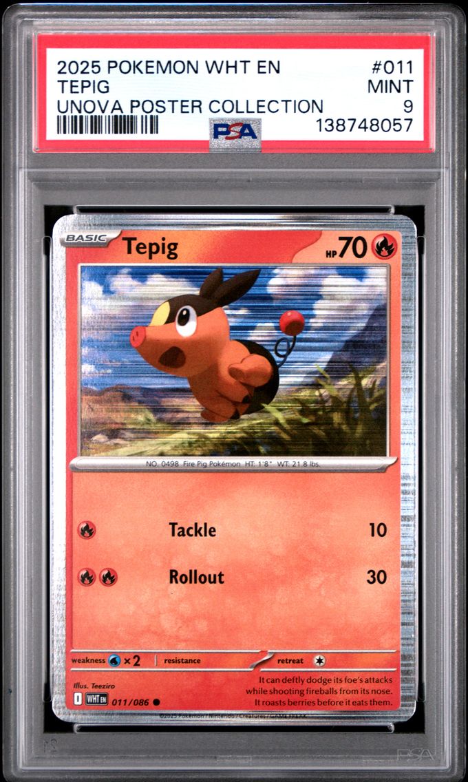 2025 #011 Tepig PSA 9 Wht EN-White Flare Pokemon