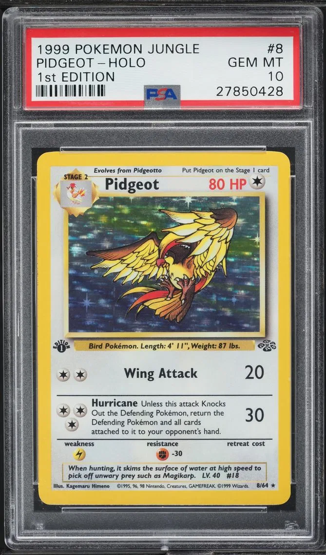 1999 #8 Pidgeot-Holo 1st Edition PSA 10 Jungle Pokemon