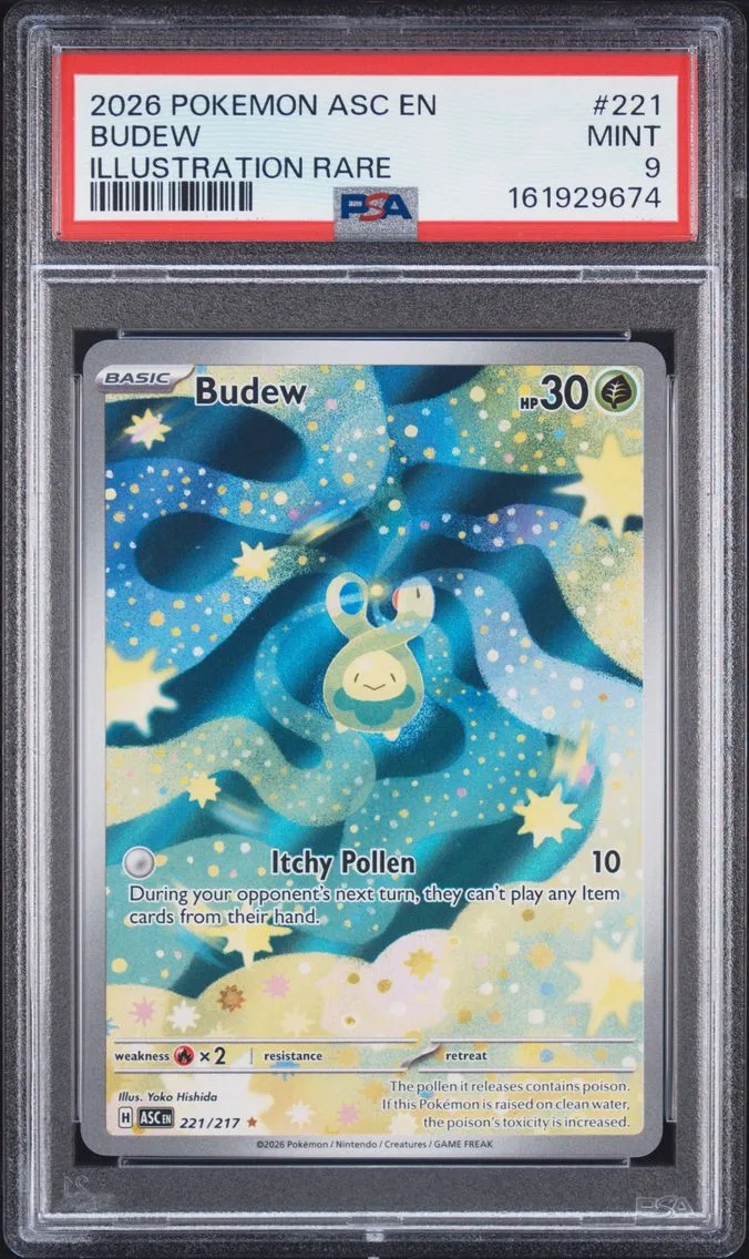 2026 #221 Budew PSA 9 Asc EN-Ascended Heroes