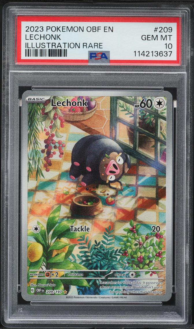 2023 #209 Lechonk PSA 10 Obf EN-Obsidian Flames Pokemon