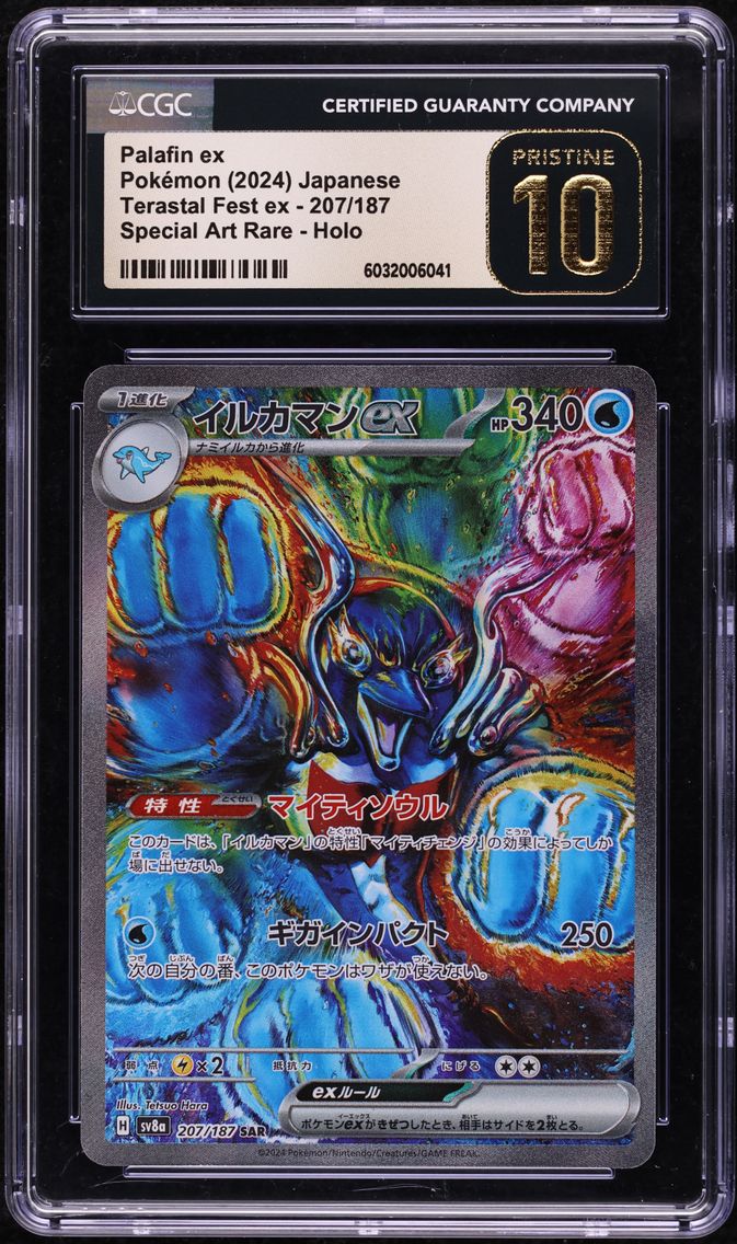Palafin ex - 207/187