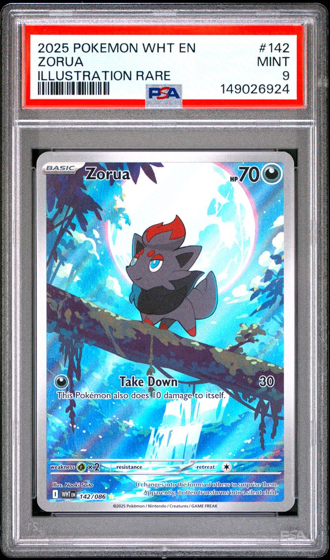 2025 #142 Zorua PSA 9 Wht EN-White Flare