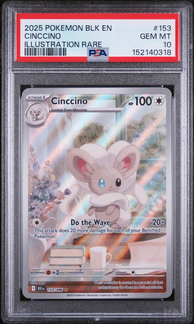 2025 #153 Cinccino PSA 10 Blk EN