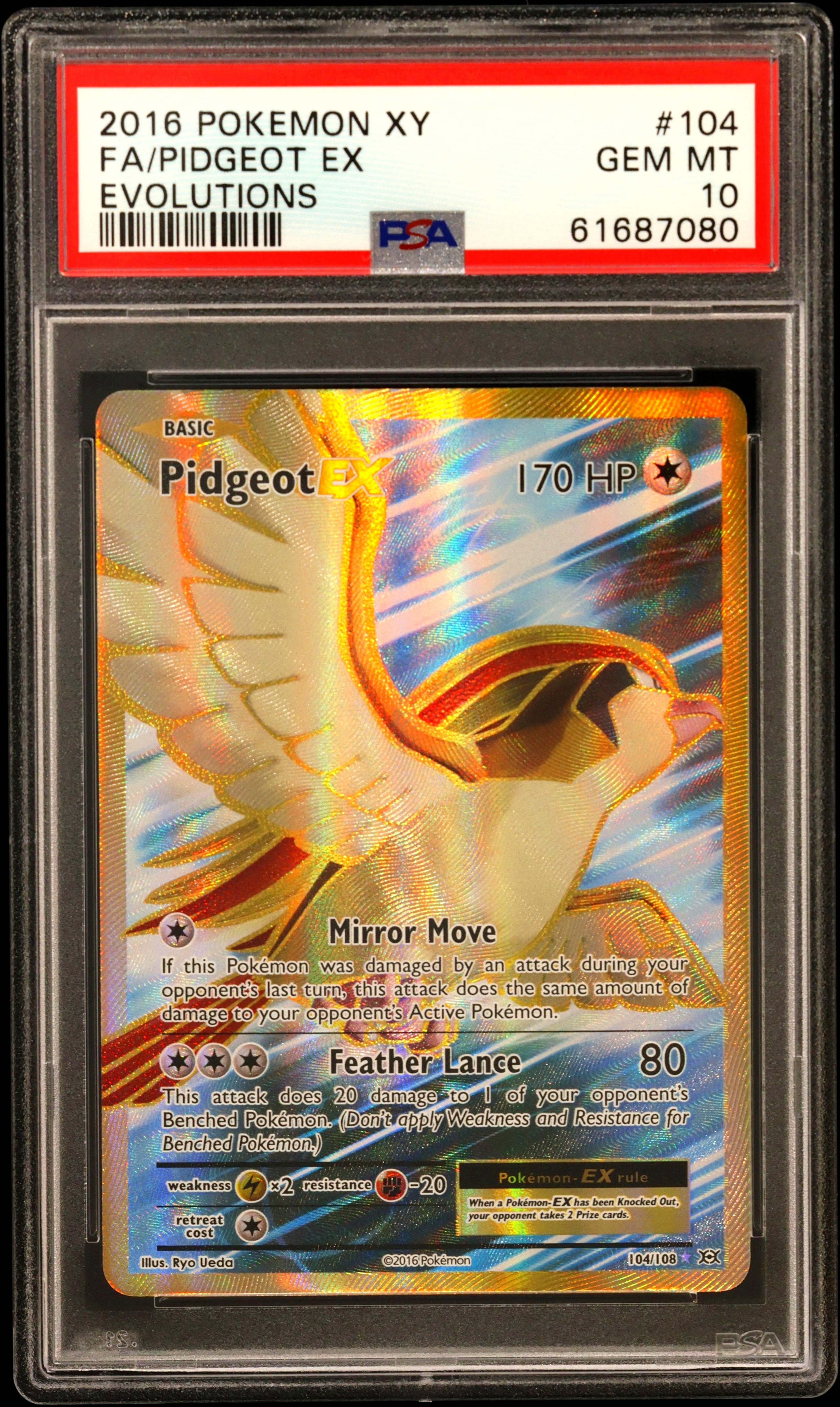 Full Art/Pidgeot EX
