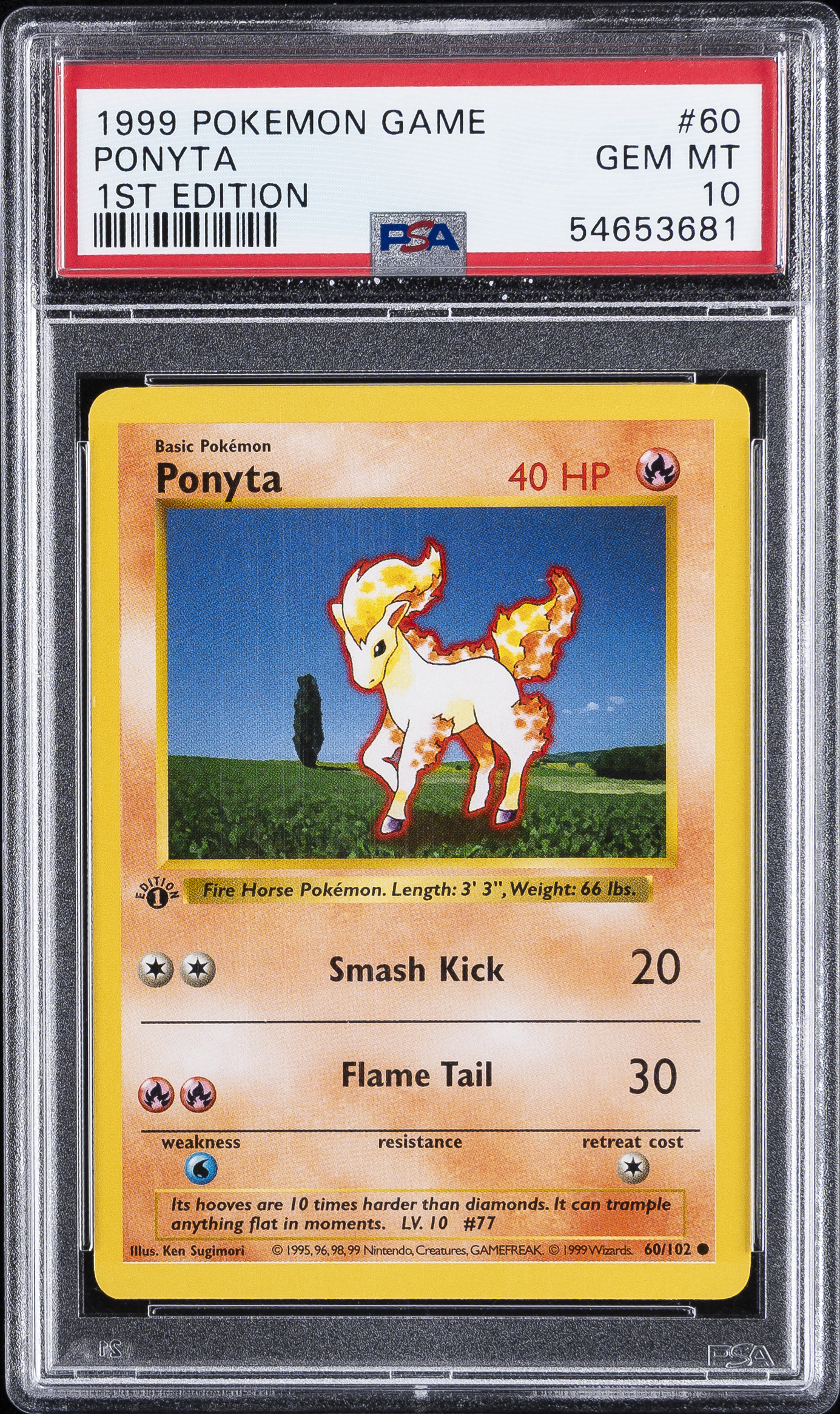 Ponyta 1st Edition