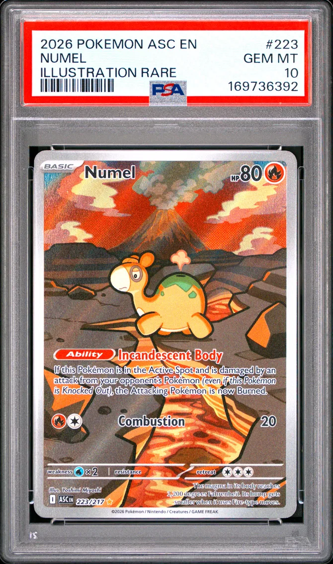 2026 #223 Numel PSA 10 Asc EN-Ascended Heroes
