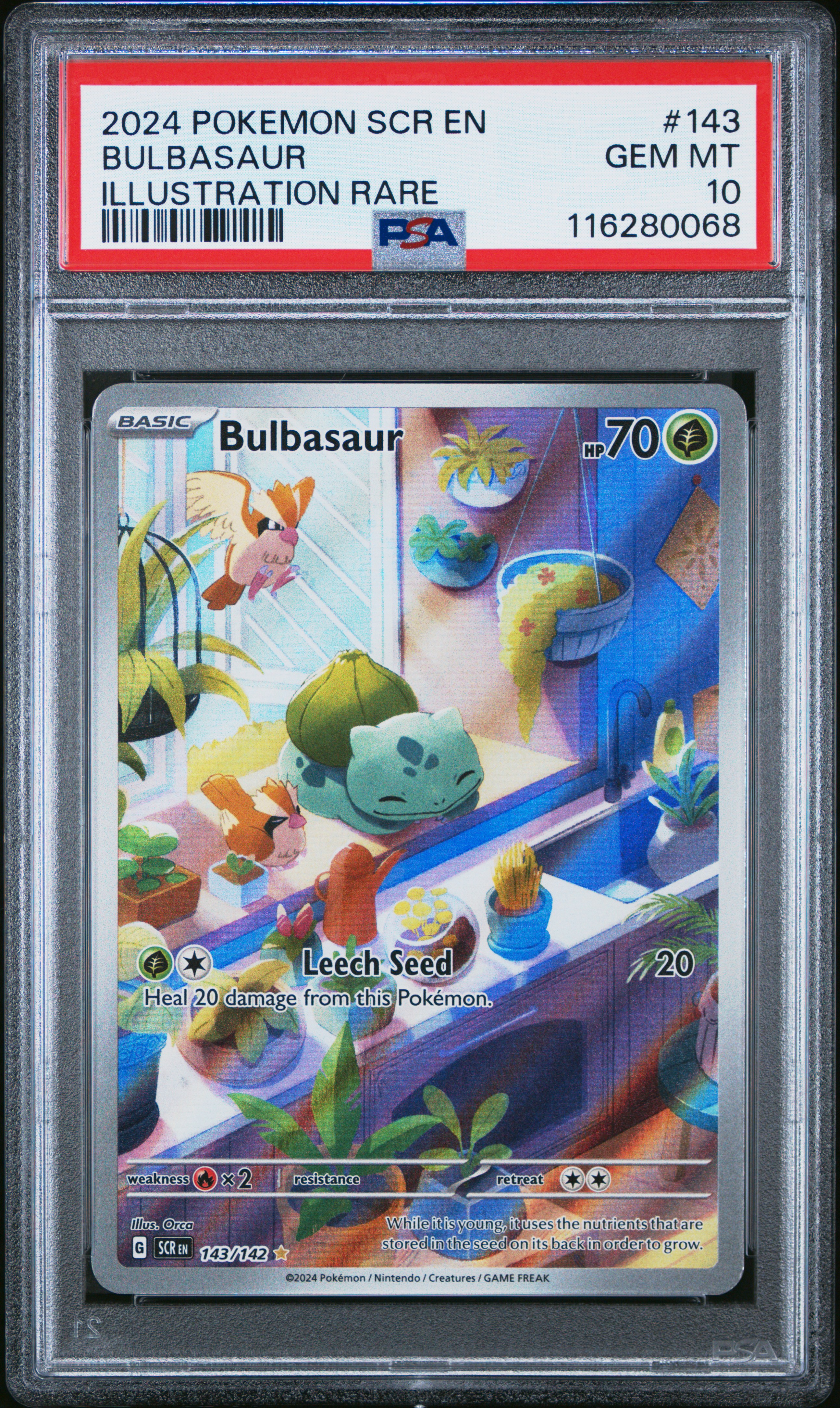 Bulbasaur