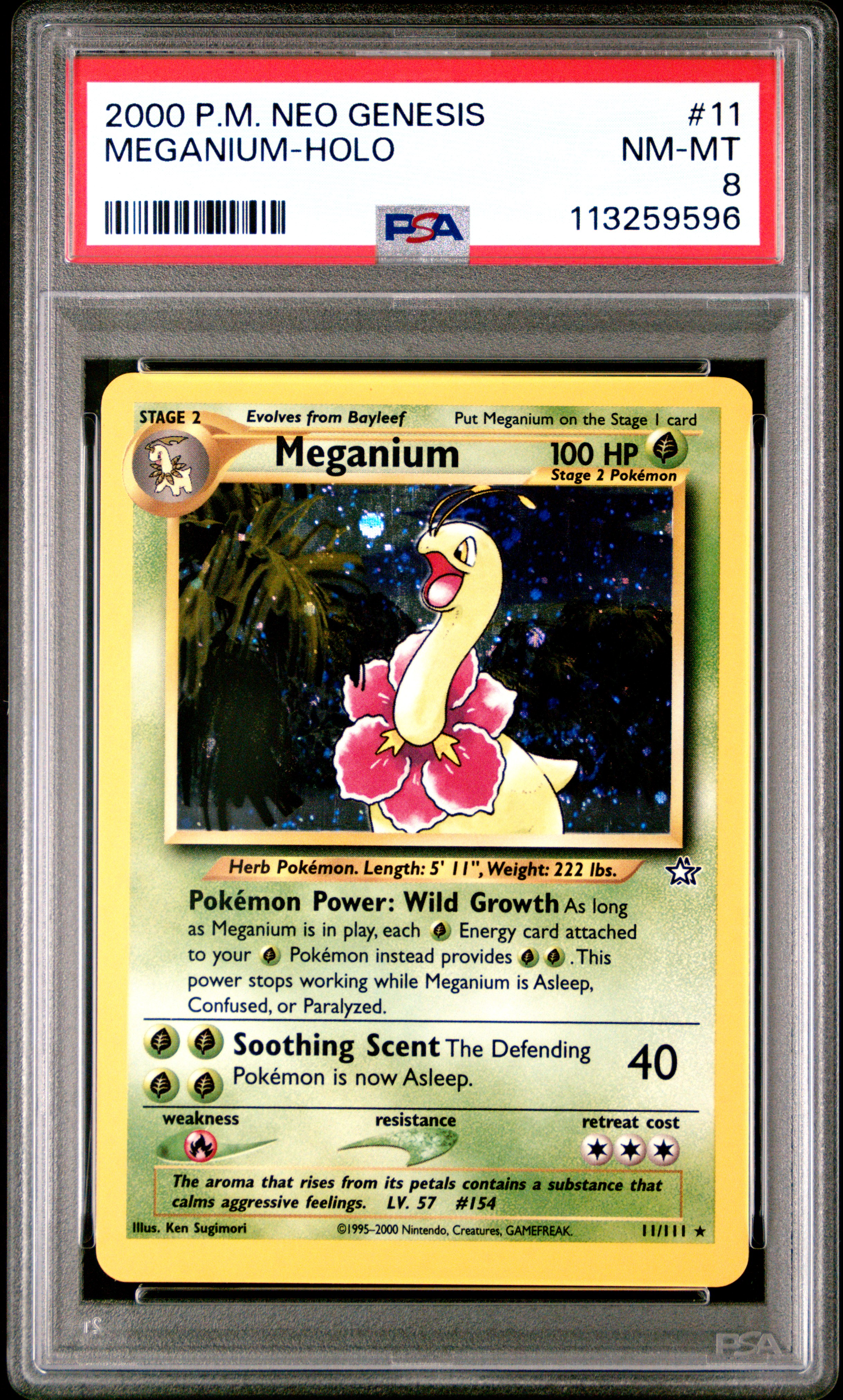 Meganium-Holo