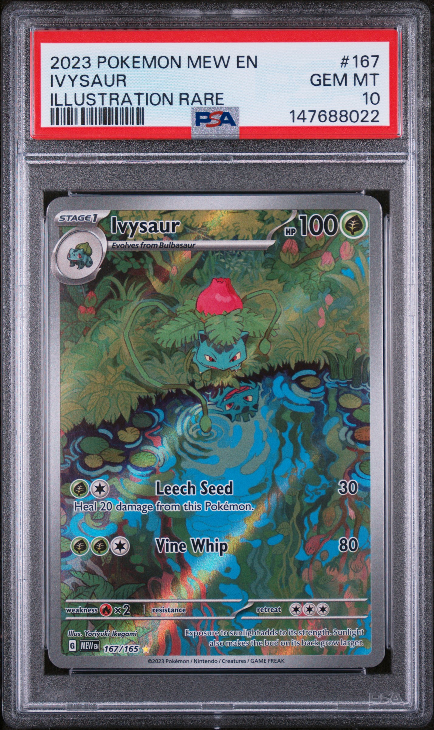 Ivysaur