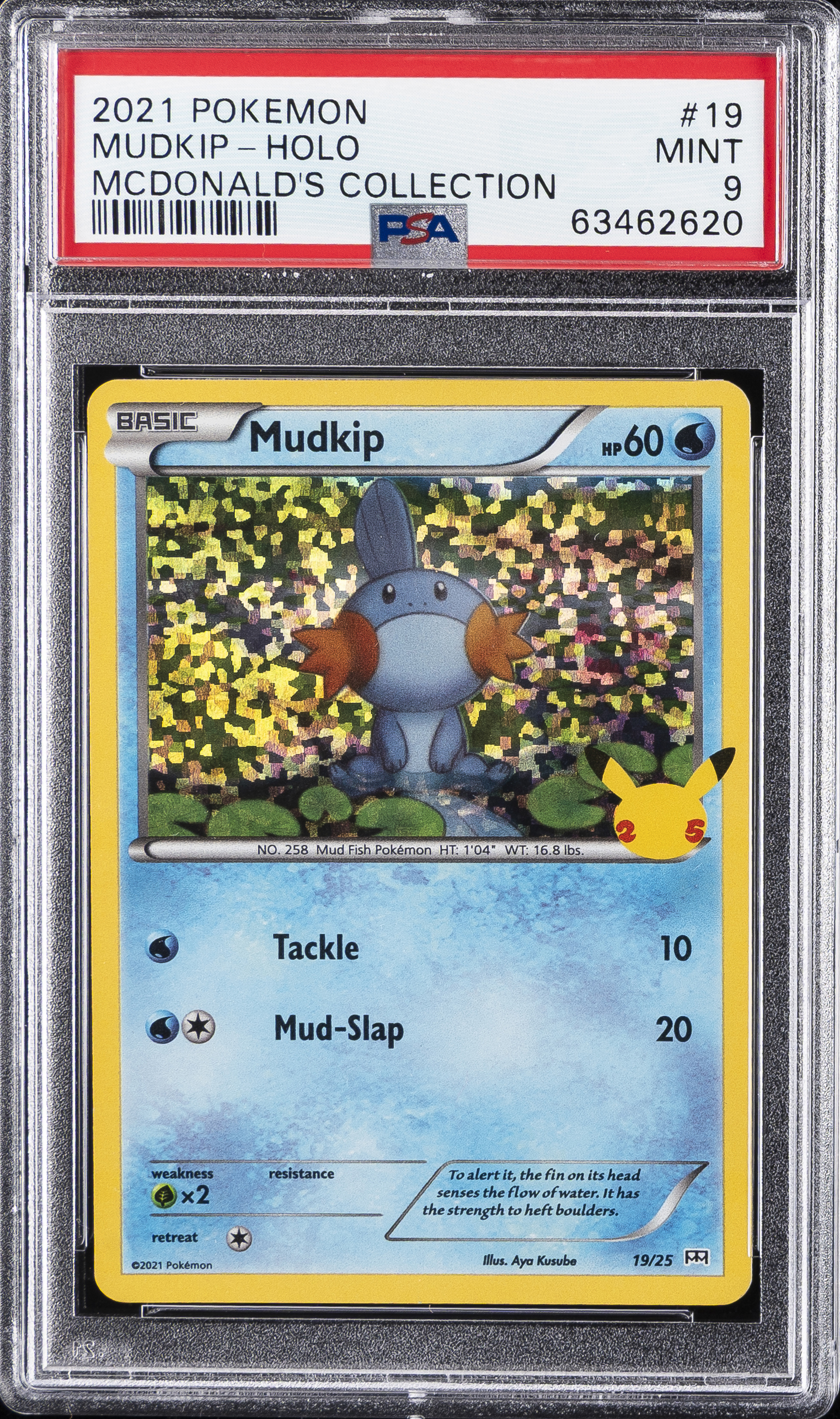 Mudkip-Holo