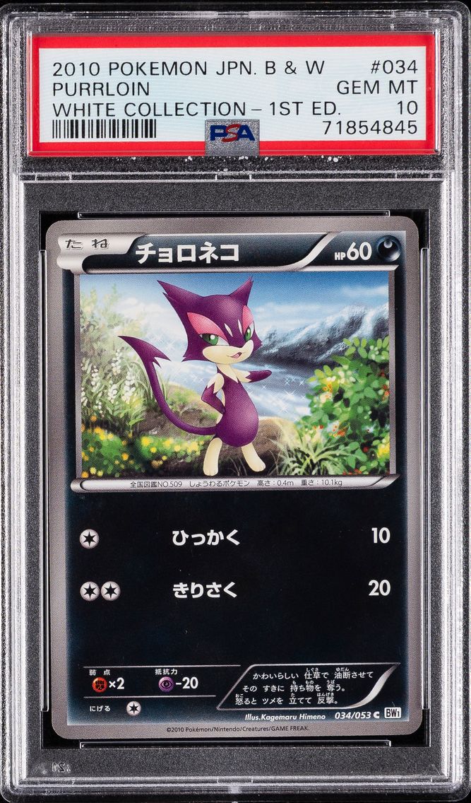 Purrloin