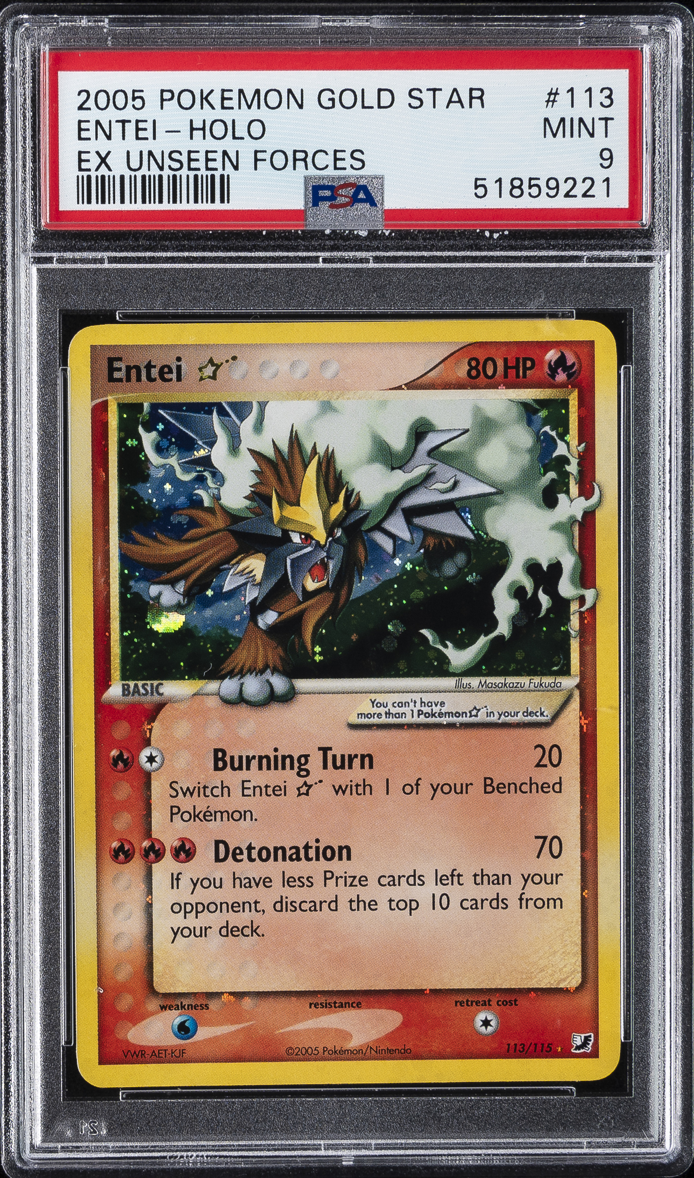 Entei-Holo