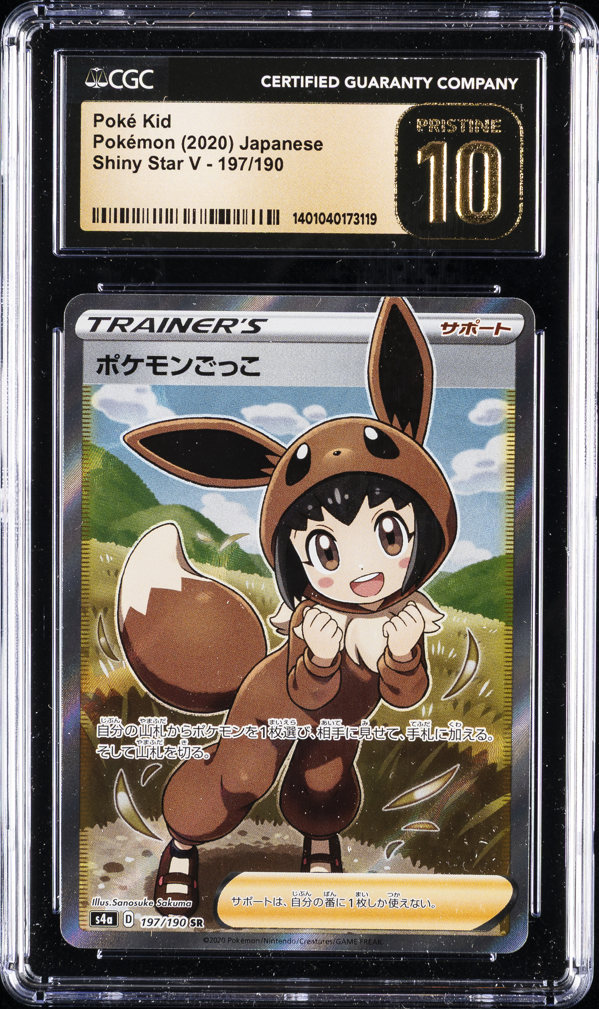 Full Art/Poke Kid