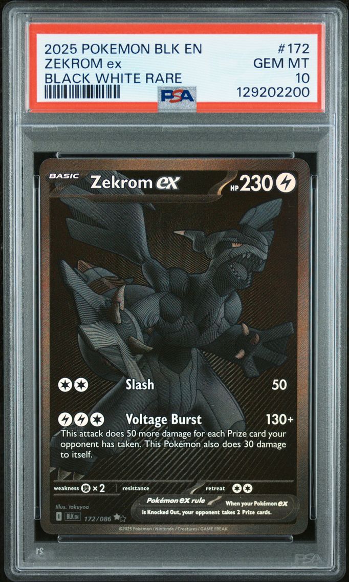 2025 #172 Zekrom EX PSA 10 Blk EN-Black Bolt
