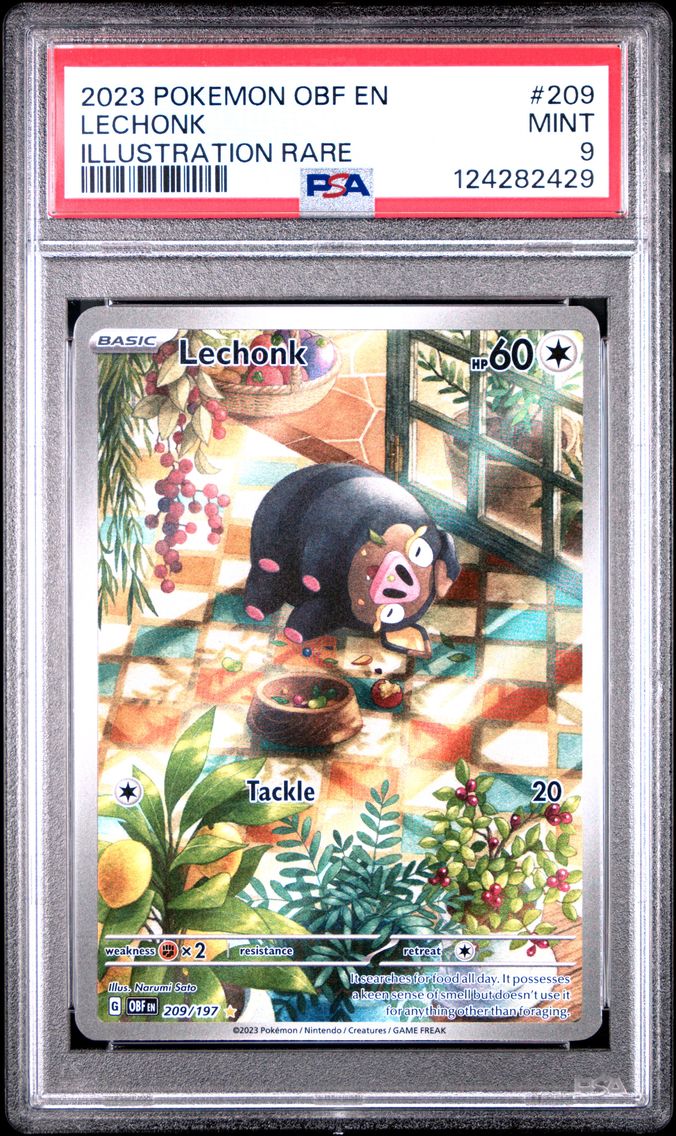 Lechonk - 209/197