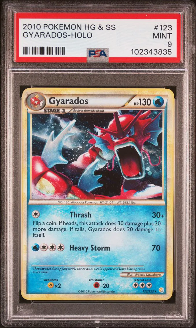 2010 #123 Gyarados-Holo PSA 9 He
