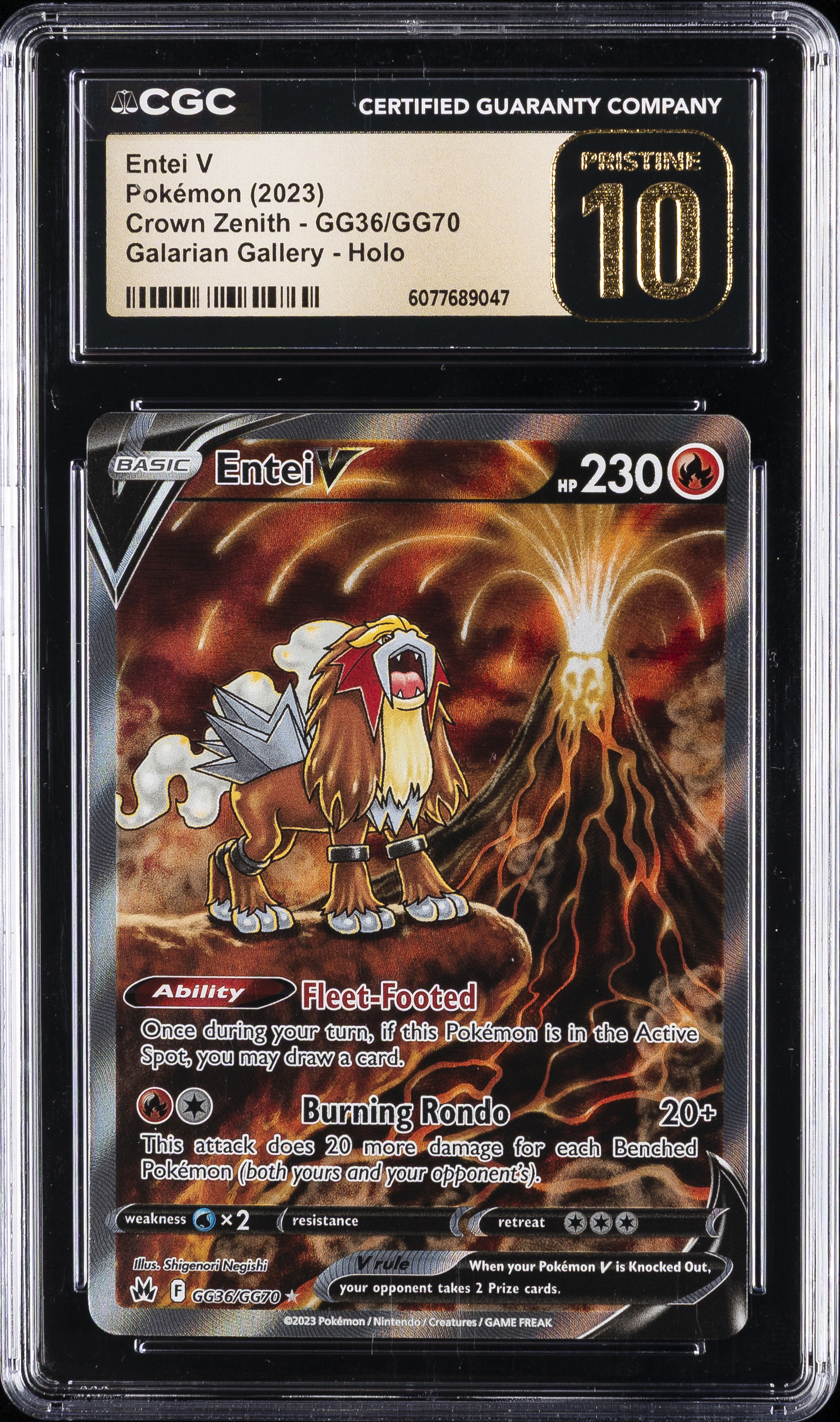 Full Art/Entei V
