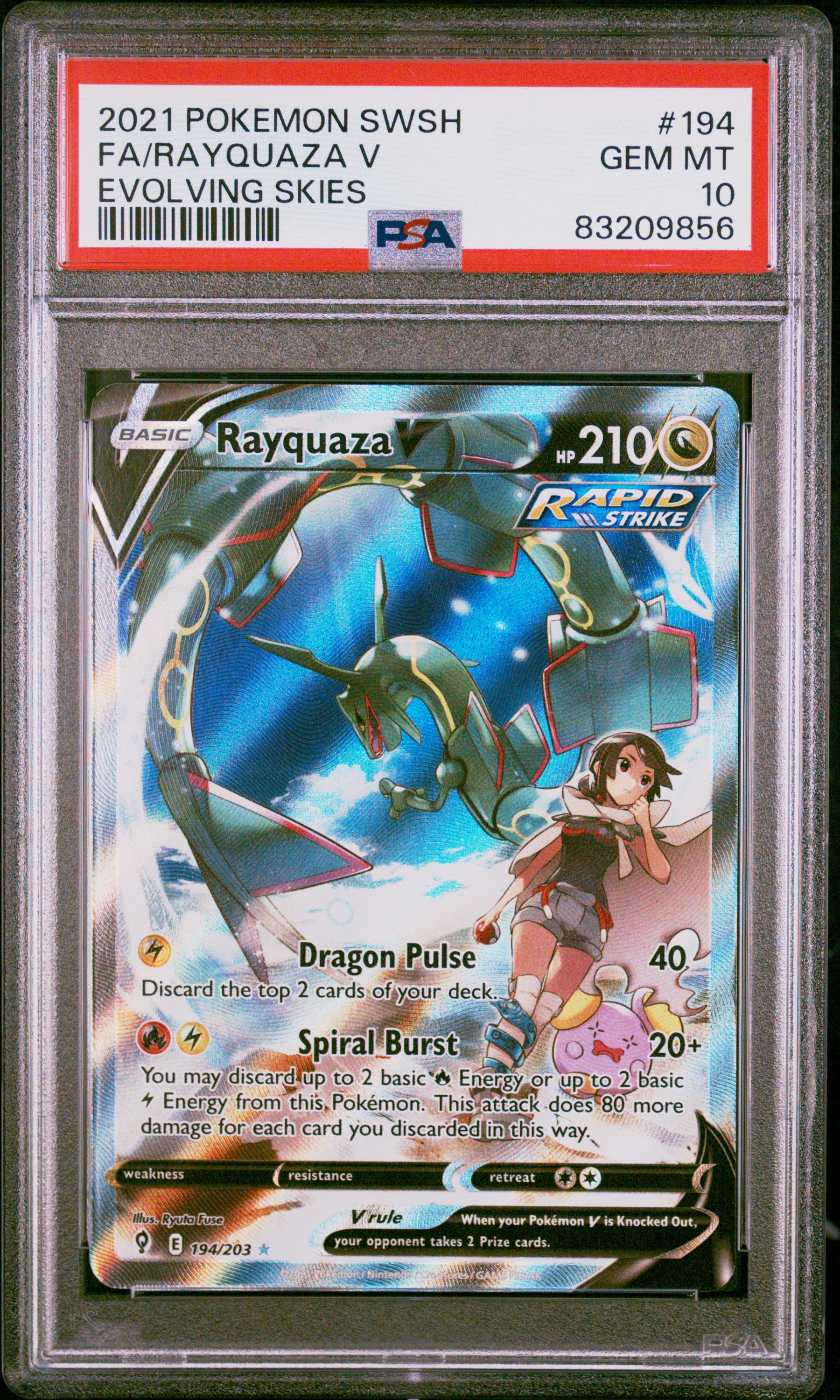 Full Art/Rayquaza V