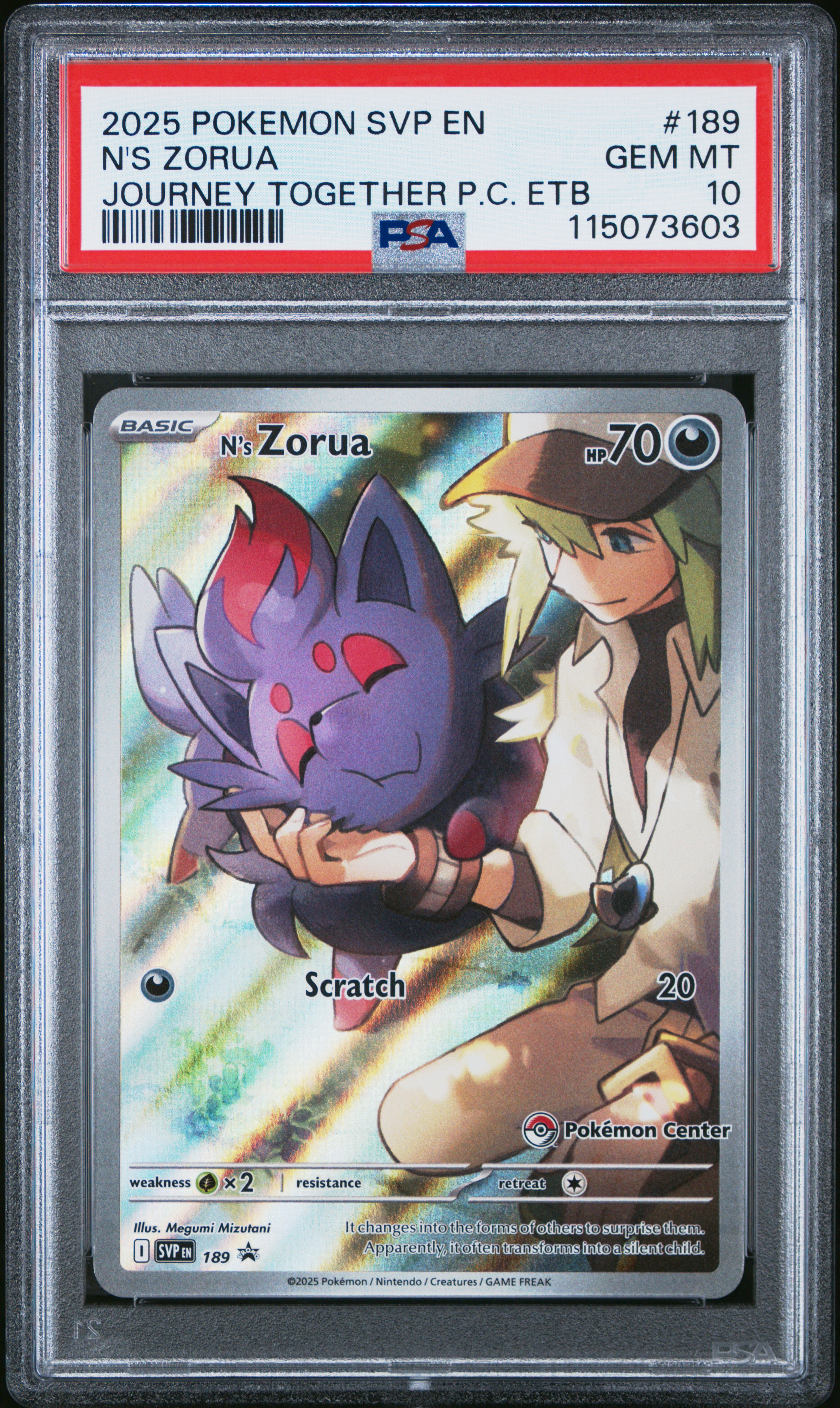N's Zorua