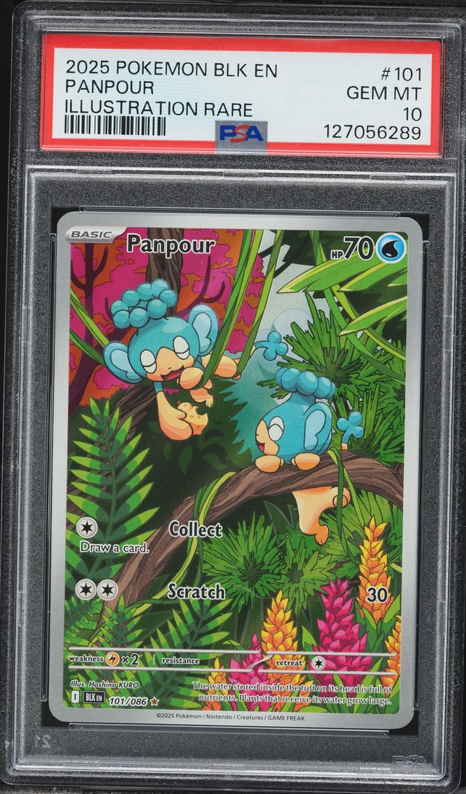 2025 #101 Panpour PSA 10 Blk EN-