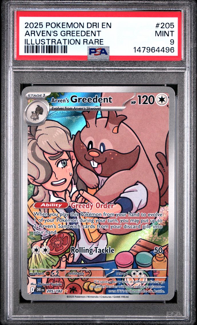 2025 #205 Arven's Greedent PSA 9 Dri EN-Destined Rivals Pokemon